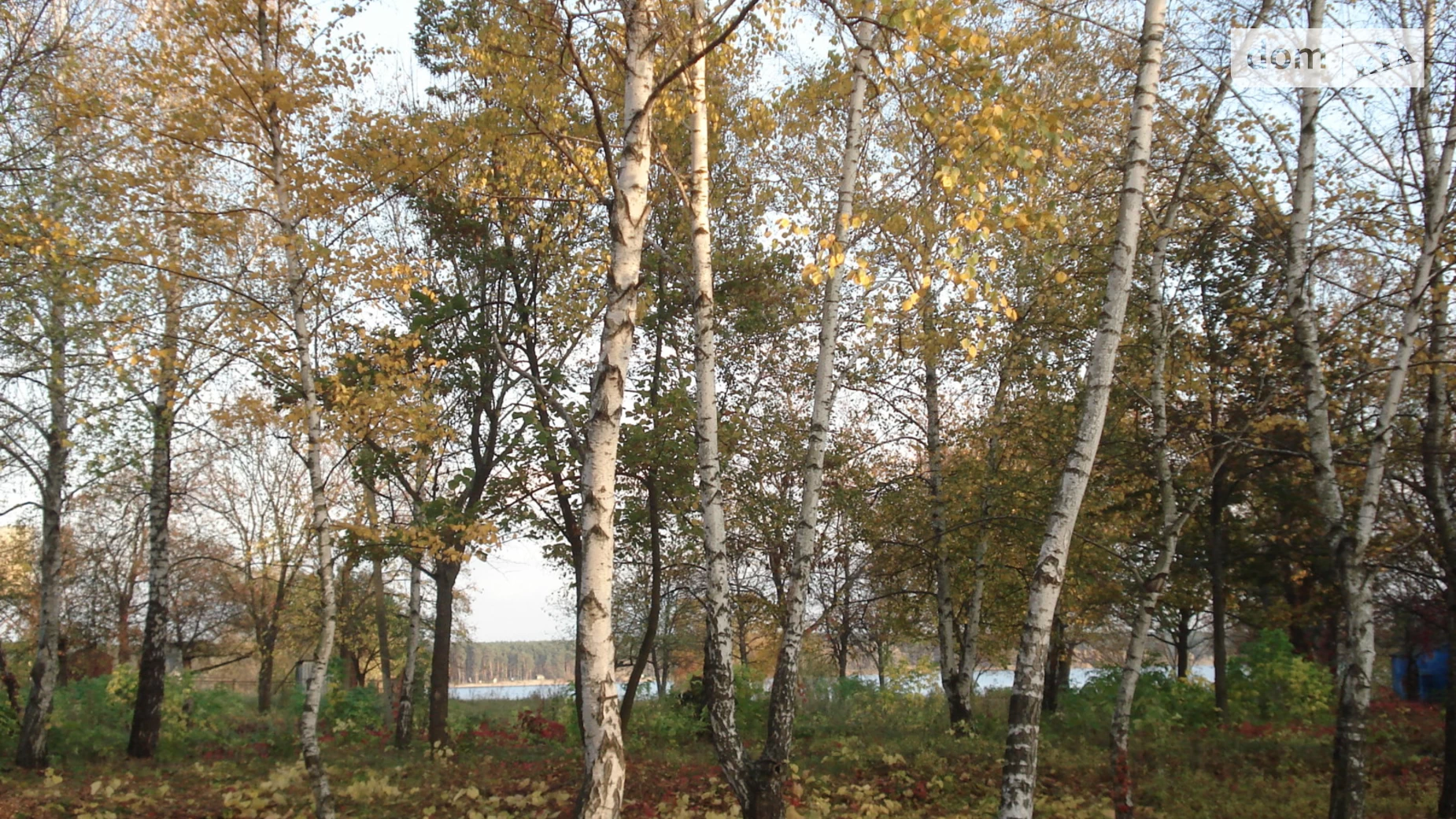 Продається земельна ділянка 6.11 соток у Харківській області, цена: 10000 $ - фото 5