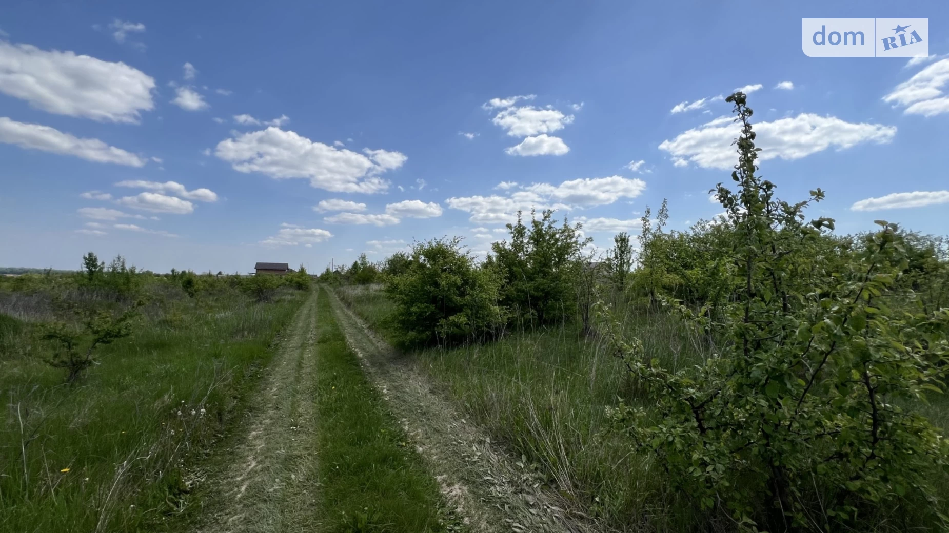 вулиця Багабунта Зарванці, цена: 15000 $ - фото 2