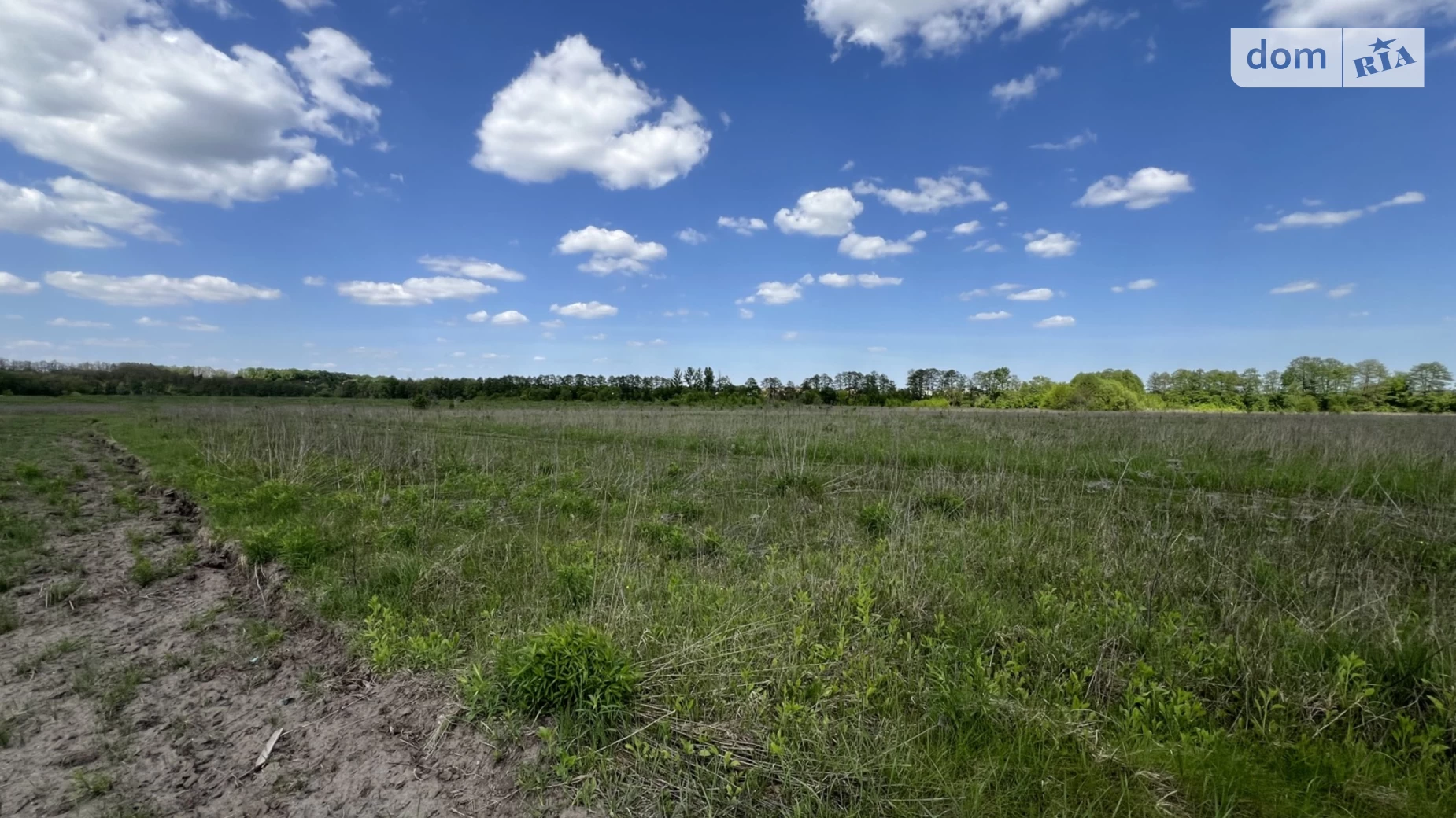 Селище (Тывров), цена: 4000 $ - фото 4