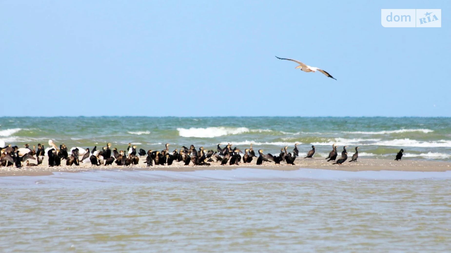 Приморское (Килия), цена: 20000 $ - фото 4