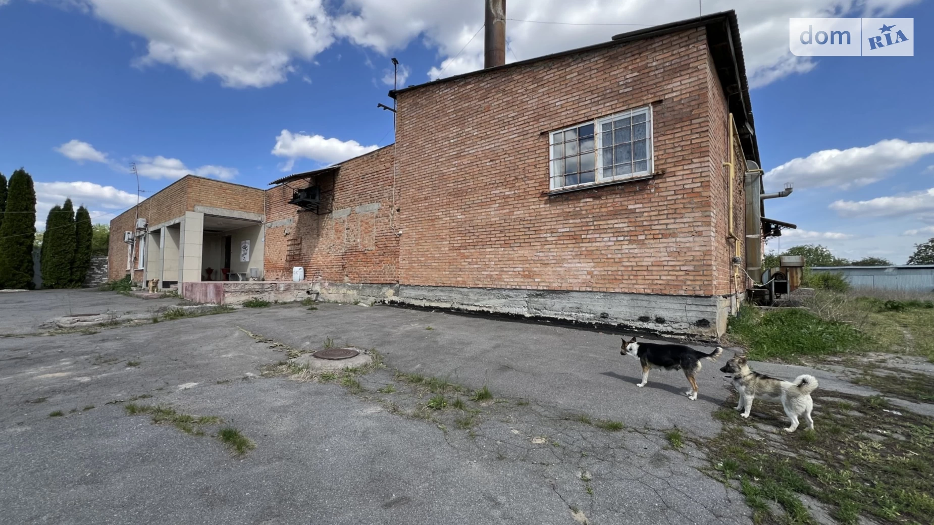 пров. Польовий Никифорівці, цена: 550000 $ - фото 2