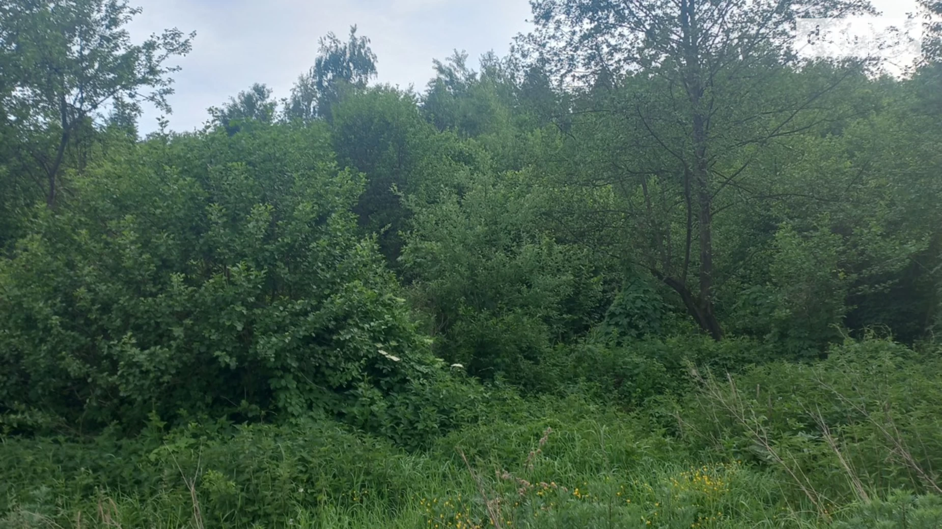 Продається земельна ділянка 12.1 соток у Закарпатській області, цена: 16500 $ - фото 2