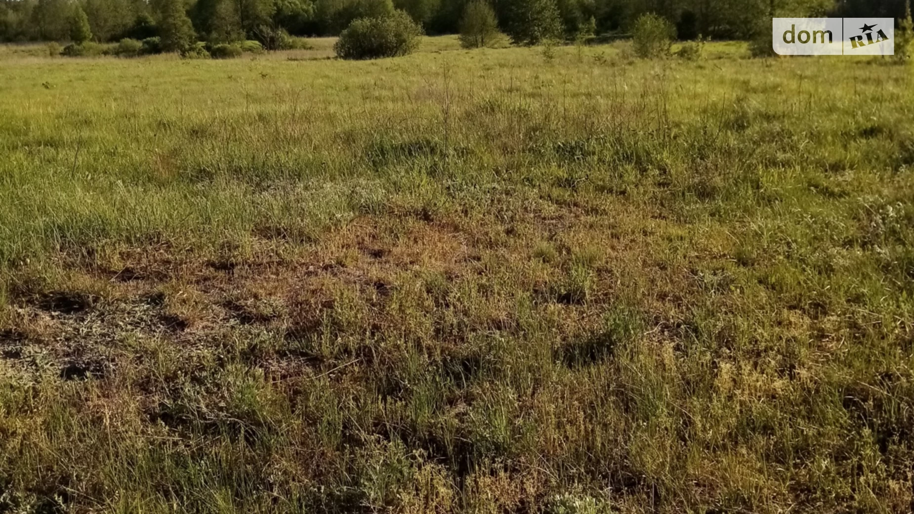 Продається земельна ділянка 15 соток у Житомирській області, цена: 5200 $ - фото 3