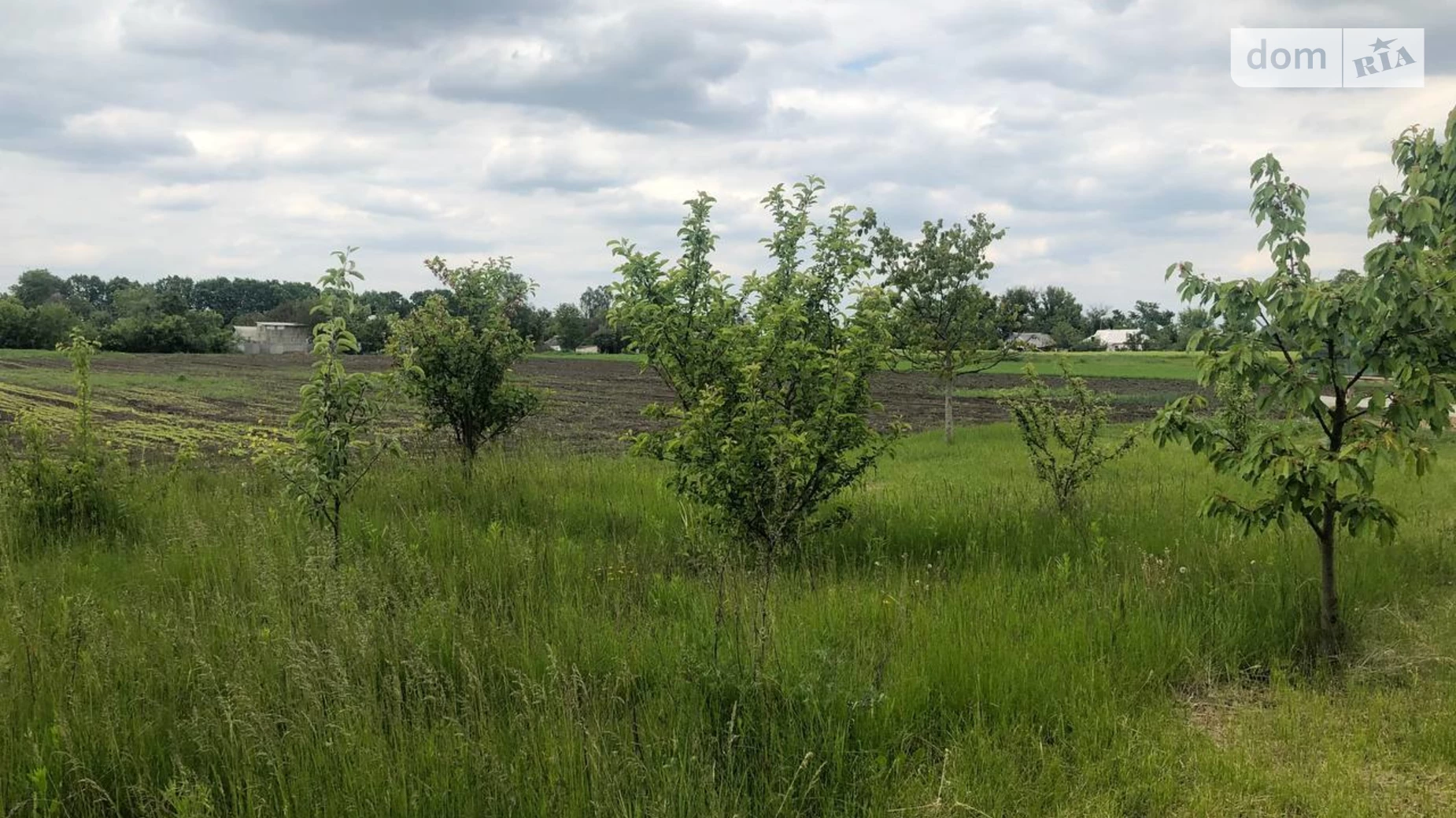 ул. Центральная Межевое, цена: 8400 $ - фото 5