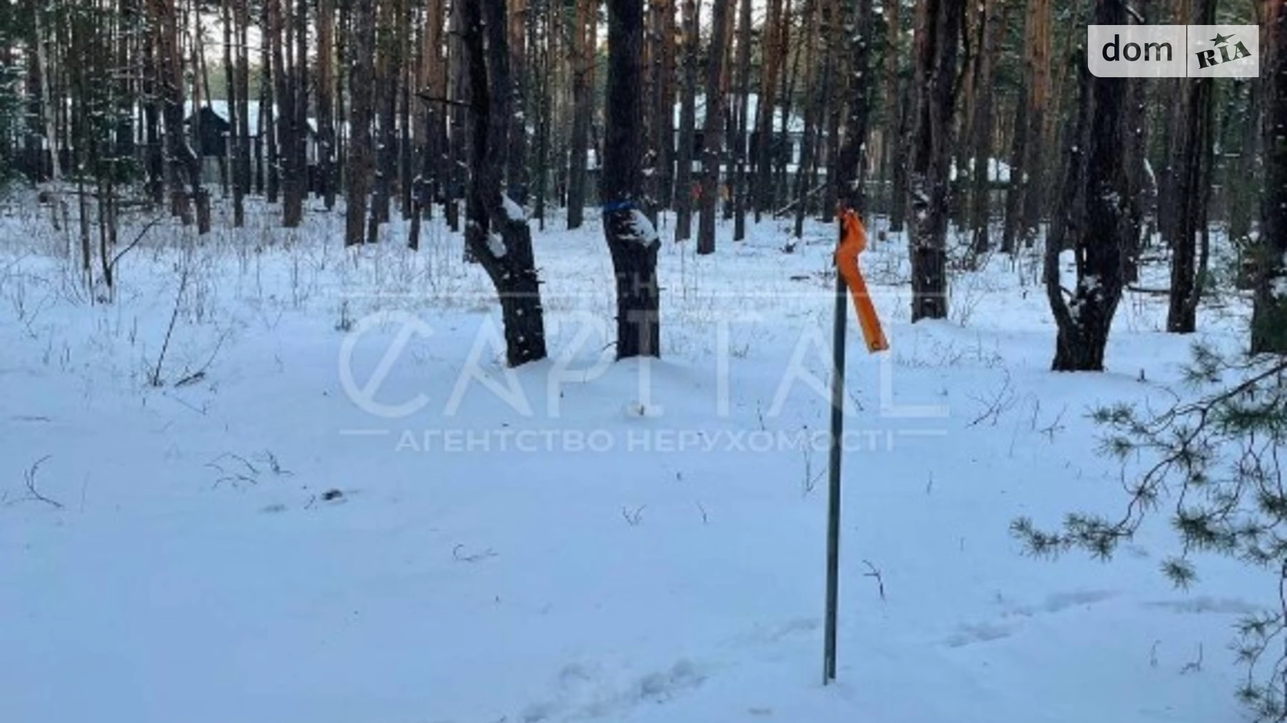 ул. Ушицкая Деснянский Киев, цена: 95000 $ - фото 5
