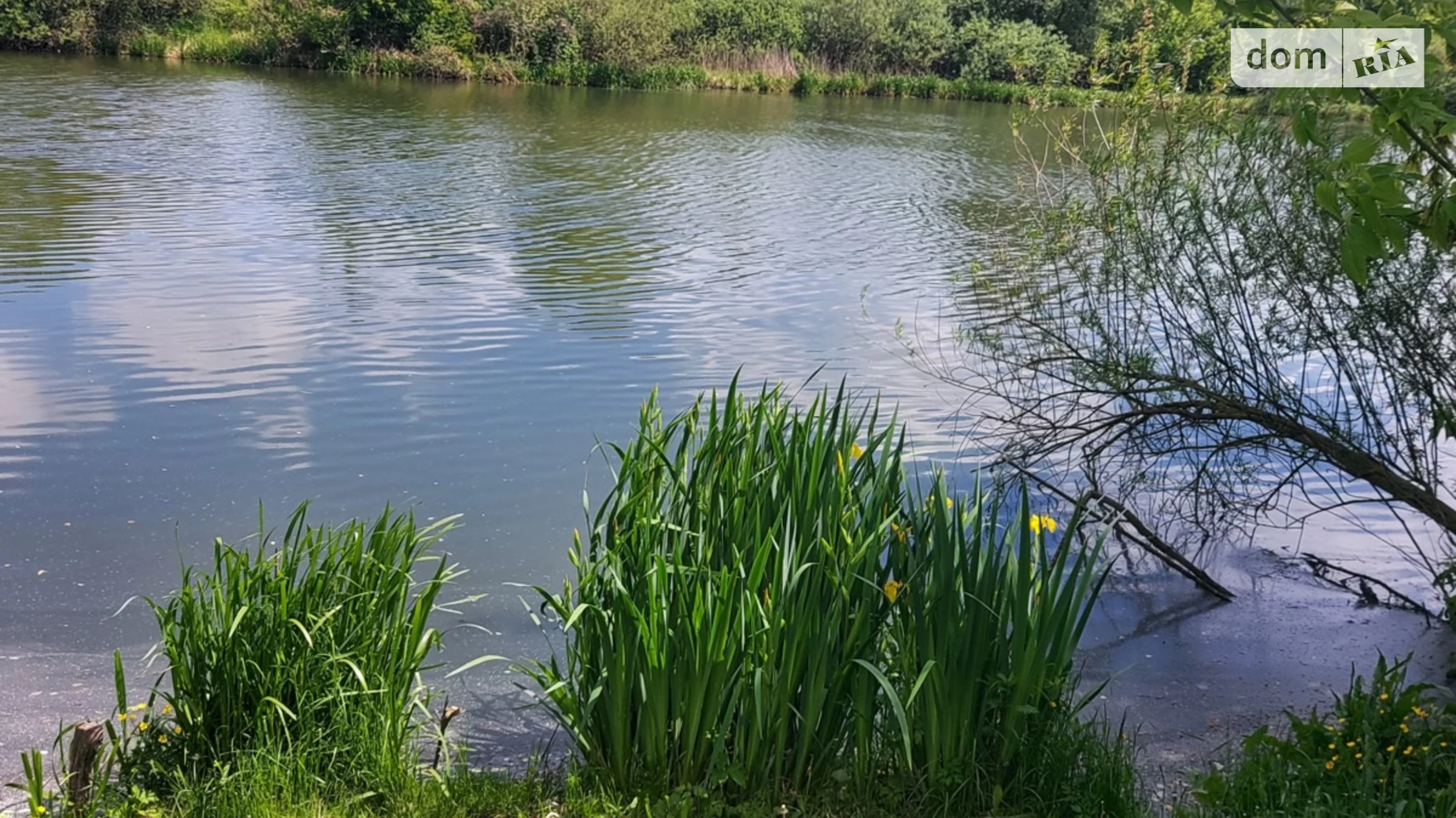 вул. Миру(Леніна) Рівець, цена: 8000 $ - фото 4