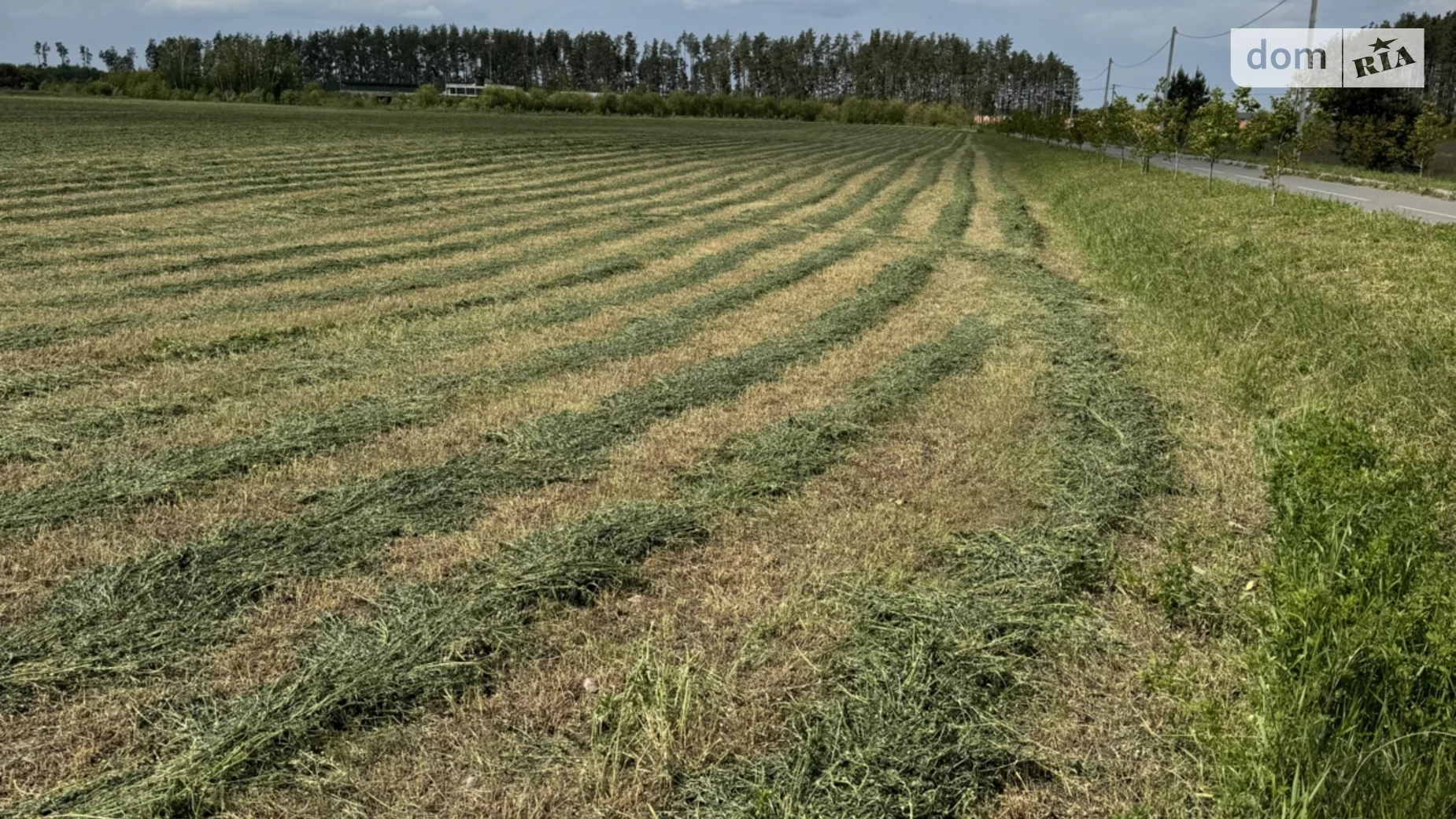Продається земельна ділянка 500 соток у Київській області, цена: 500000 $ - фото 5
