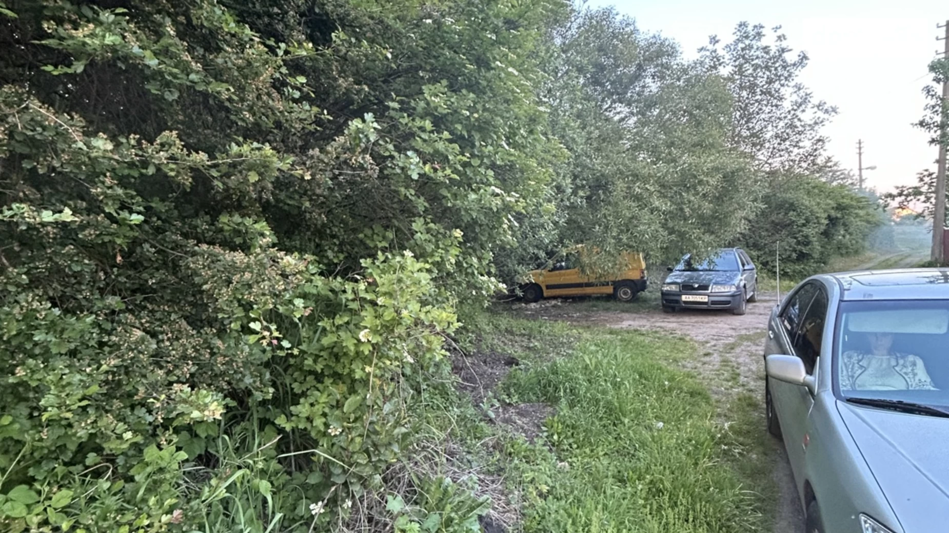 вул. Лісна Гостомель, цена: 5000 $ - фото 2
