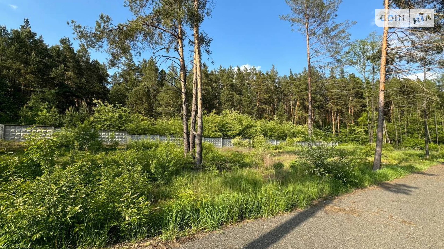 Продается земельный участок 54 соток в Киевской области, цена: 200000 $ - фото 3