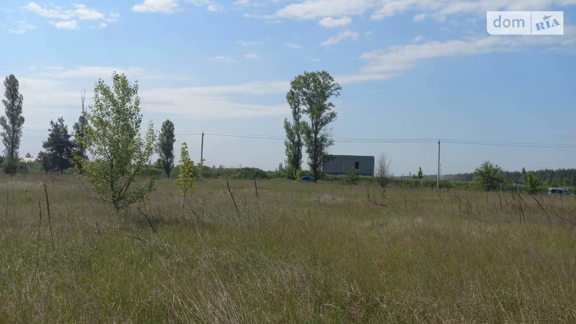 уроч. Рябина Лебедевка, цена: 8000 $ - фото 3