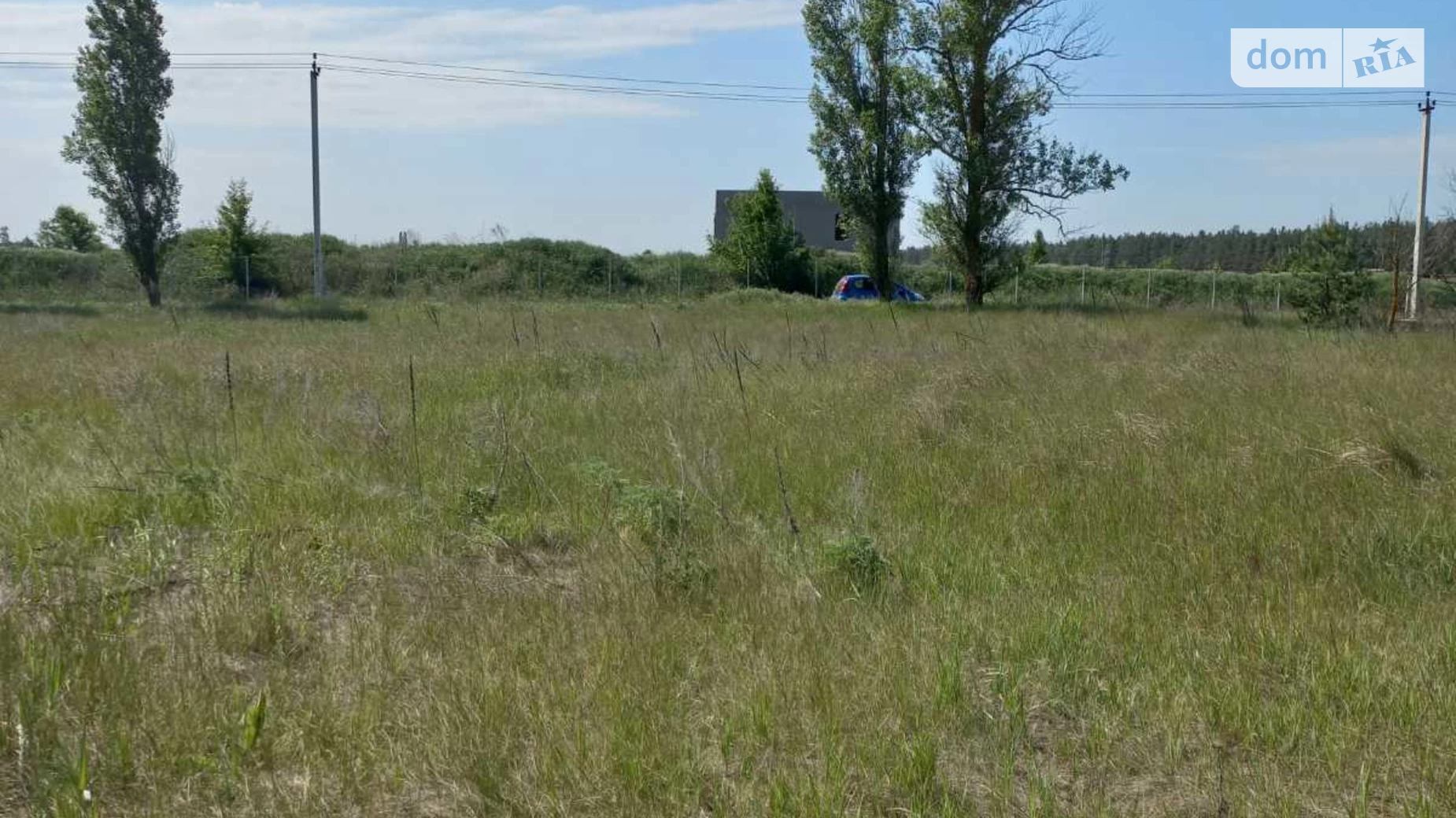 уроч. Рябина Лебедевка, цена: 8000 $ - фото 4