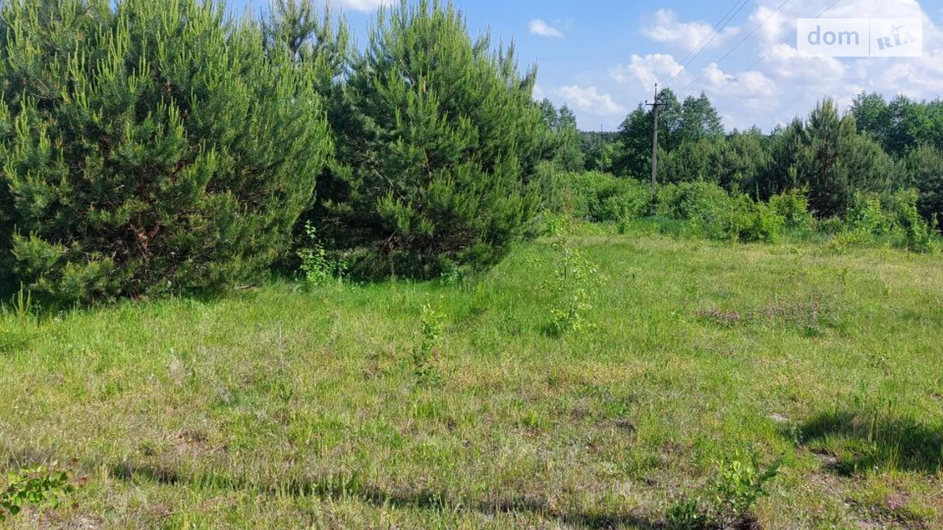 Продається земельна ділянка 25 соток у Волинській області, цена: 43750 € - фото 2