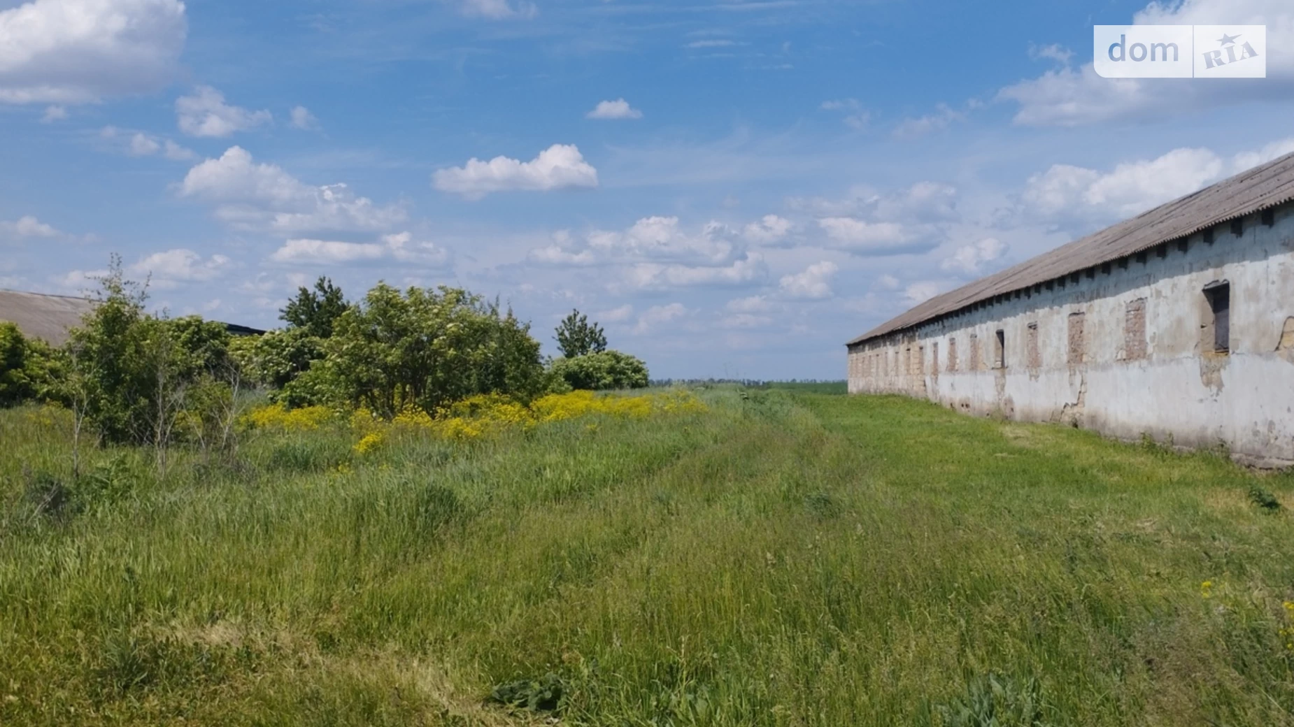 Продается объект сферы услуг 1000 кв. м в 1-этажном здании, цена: 23000 $ - фото 2