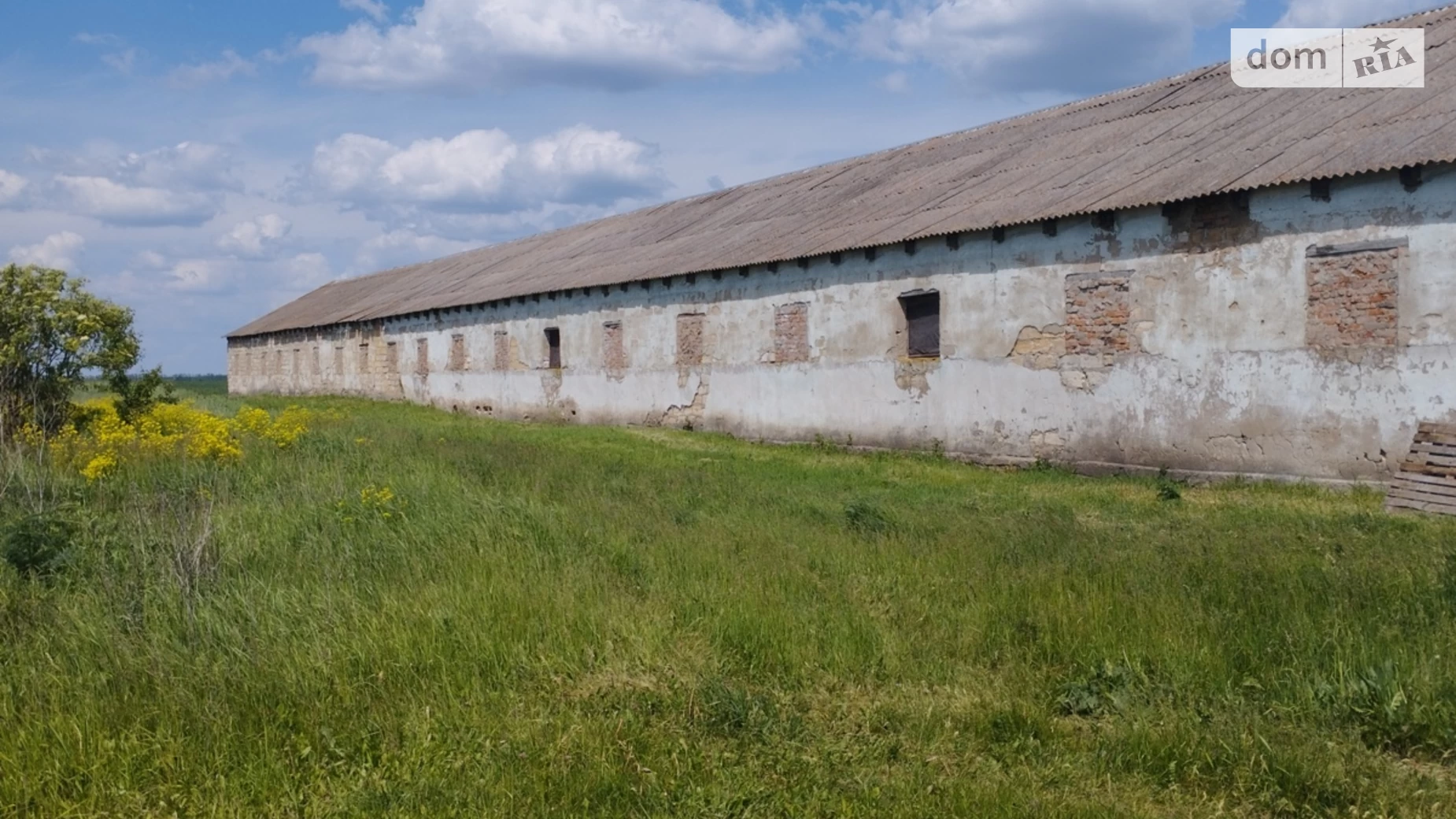 Продается объект сферы услуг 1000 кв. м в 1-этажном здании, цена: 23000 $ - фото 3