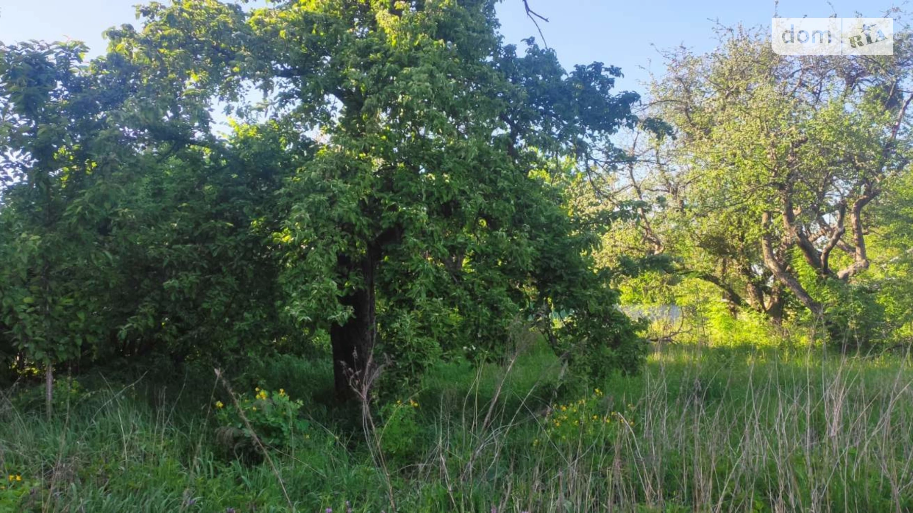 Продается одноэтажный дом 32.2 кв. м с гаражом, цена: 4000 $ - фото 3