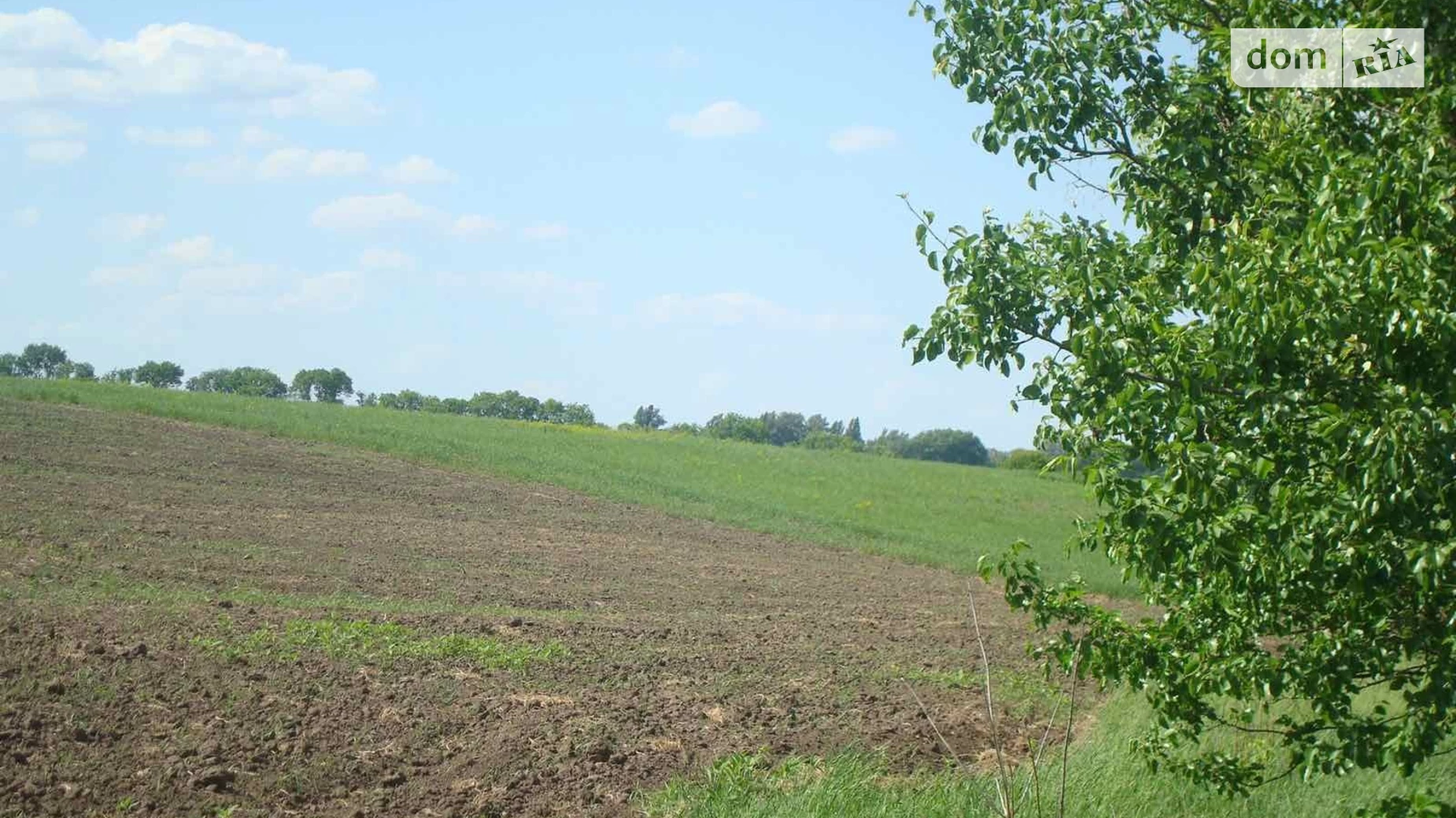 ул. Октябрьская Городище-Пустоваровское, цена: 3000 $ - фото 3
