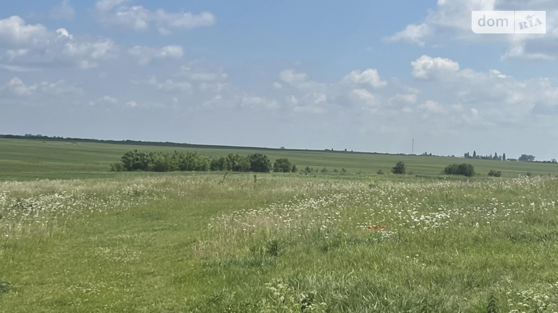 Продається земельна ділянка 0.23 соток у Рівненській області, цена: 11000 $ - фото 4