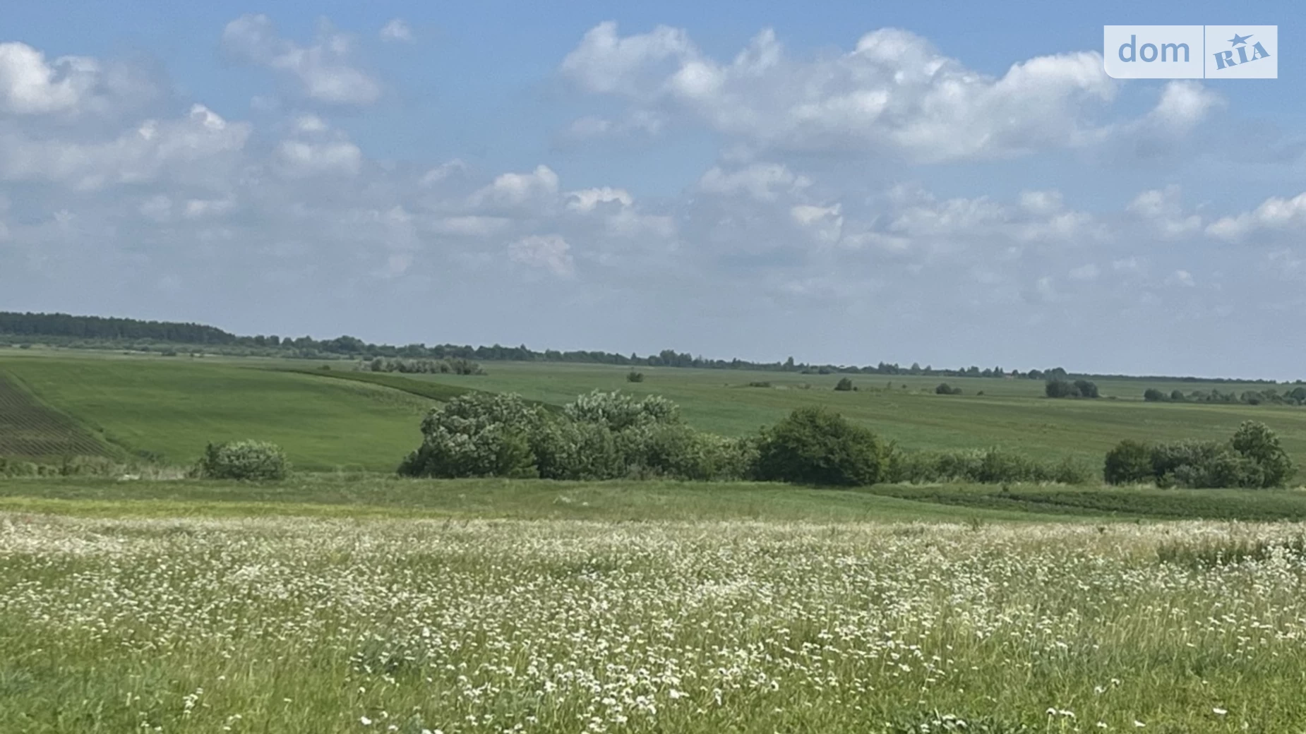 Продається земельна ділянка 0.23 соток у Рівненській області, цена: 11000 $ - фото 5