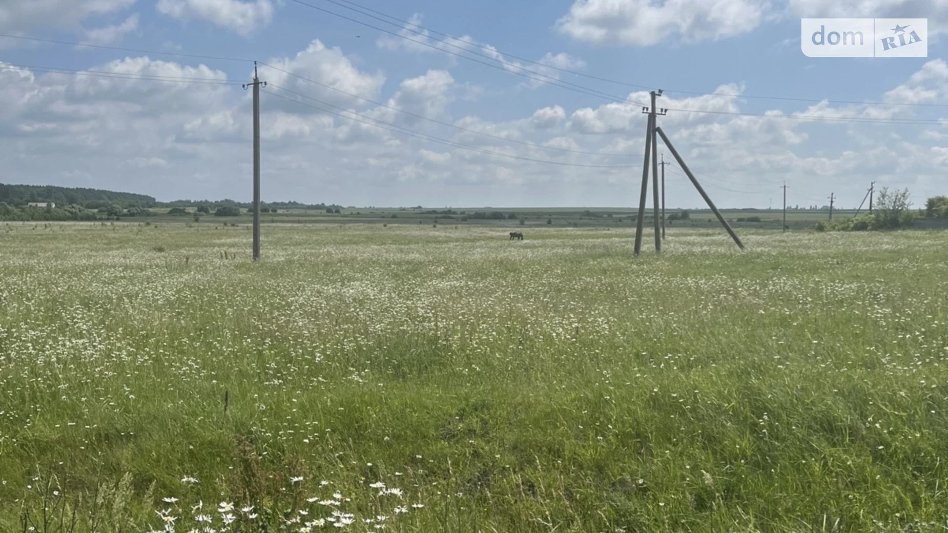 Продається земельна ділянка 73 соток у Рівненській області, цена: 27000 $ - фото 2