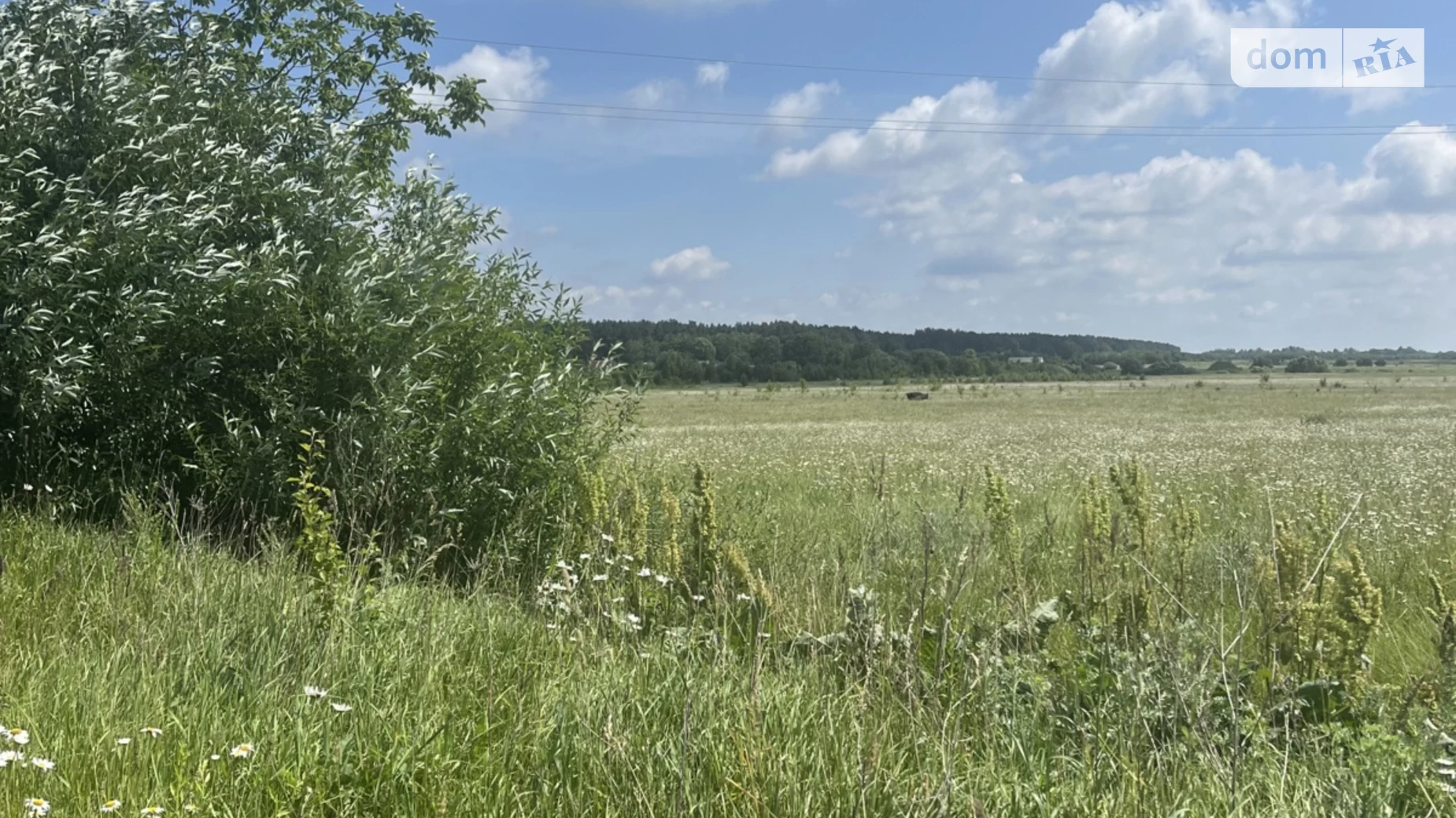 Продається земельна ділянка 73 соток у Рівненській області, цена: 27000 $ - фото 5