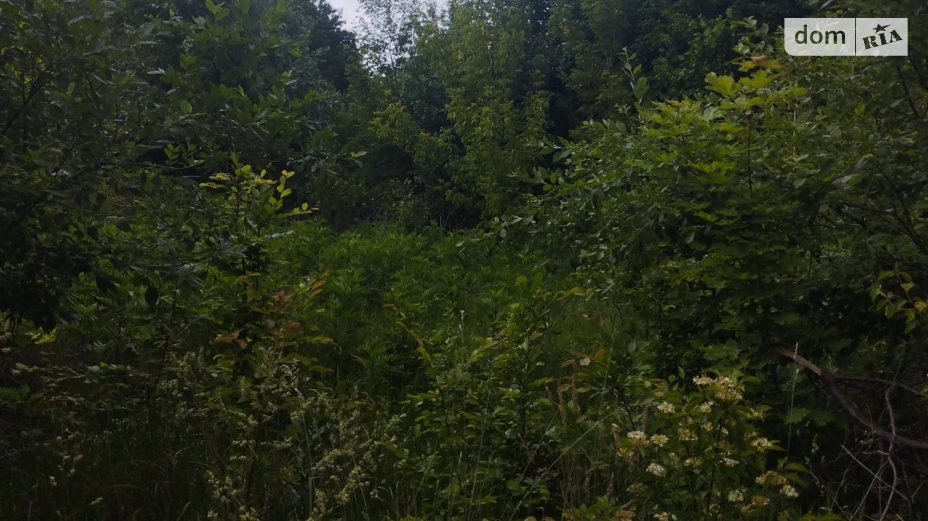 Продається земельна ділянка 10 соток у Вінницькій області, цена: 21500 $ - фото 3