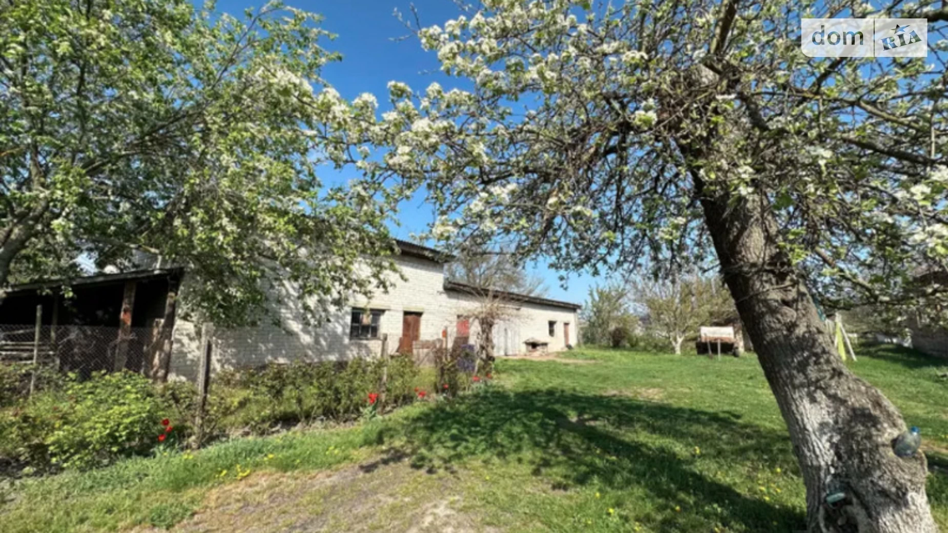 Продается одноэтажный дом 186 кв. м с мансардой, цена: 25000 $ - фото 4