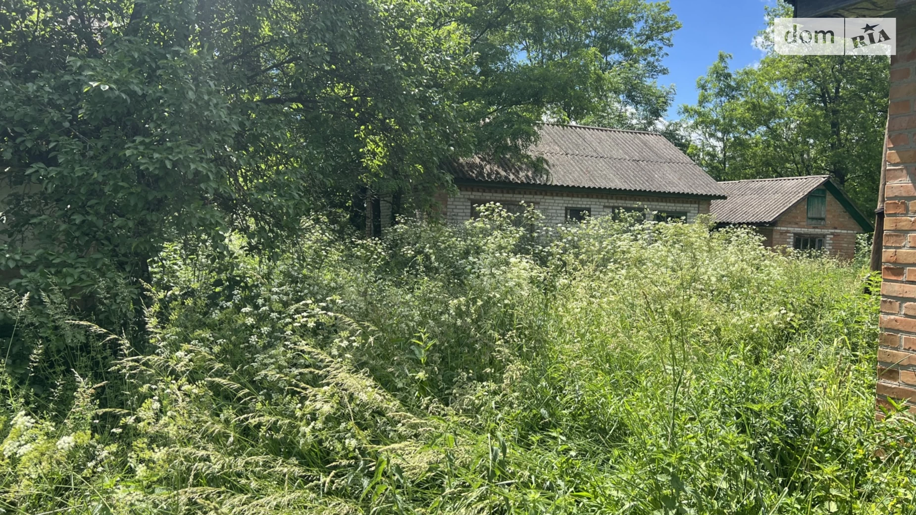 Продається земельна ділянка 40 соток у Вінницькій області, цена: 20000 $ - фото 4