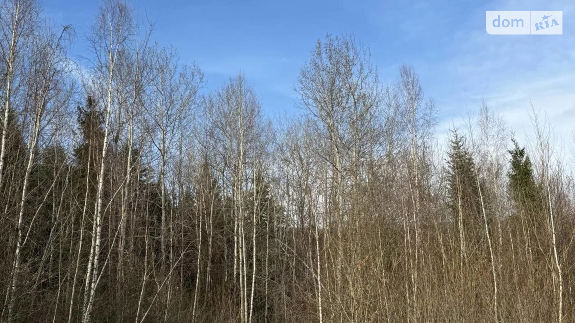 Продається земельна ділянка 17.03 соток у Івано-Франківській області, цена: 11000 $ - фото 3