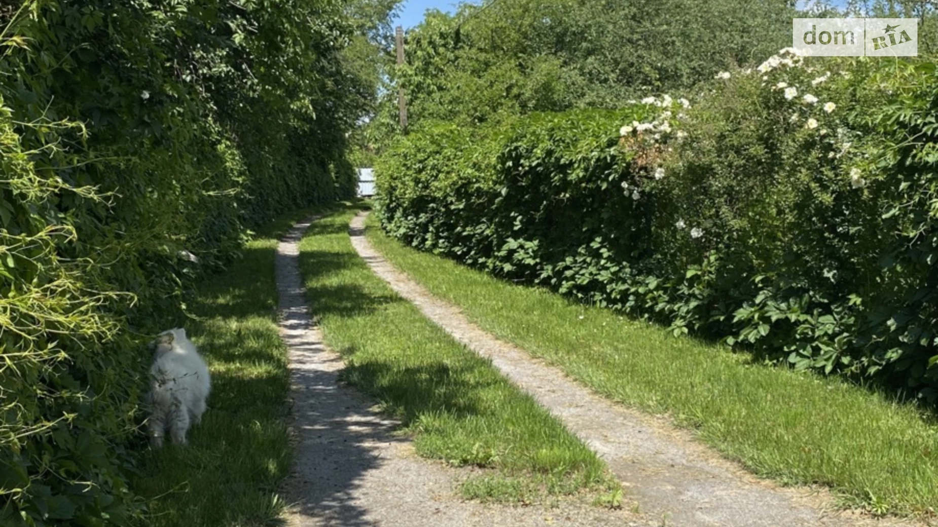 Продается дом на 2 этажа 170 кв. м с террасой, цена: 189500 $ - фото 3