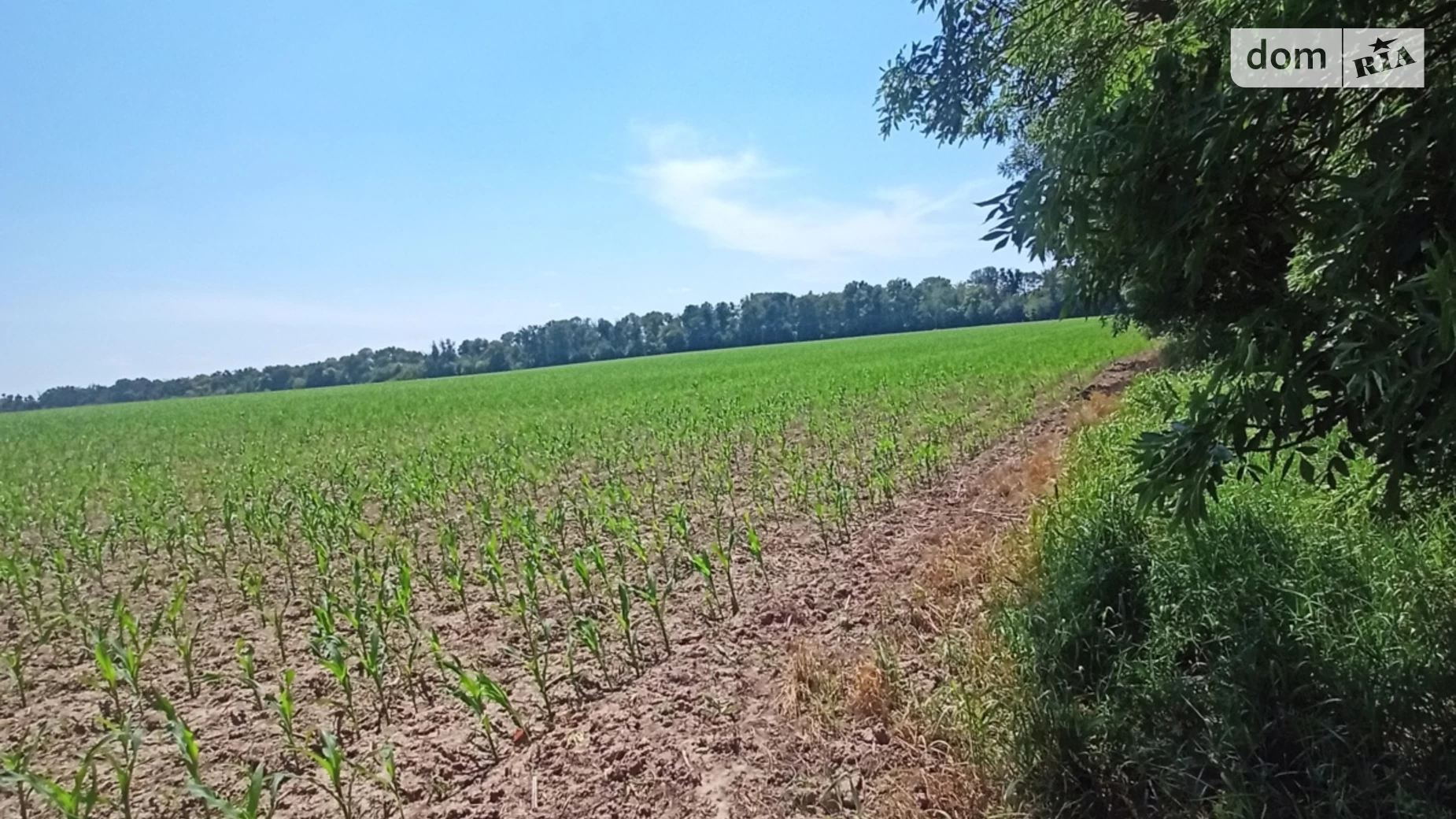 Продається земельна ділянка 96 соток у  області, цена: 96000 $ - фото 3