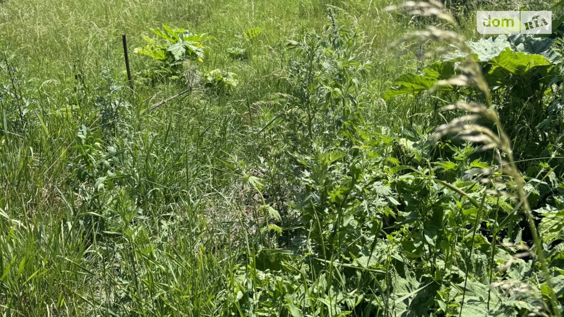 вул. Генерала Трейка Замостянський Вінниця, цена: 7500 $ - фото 3