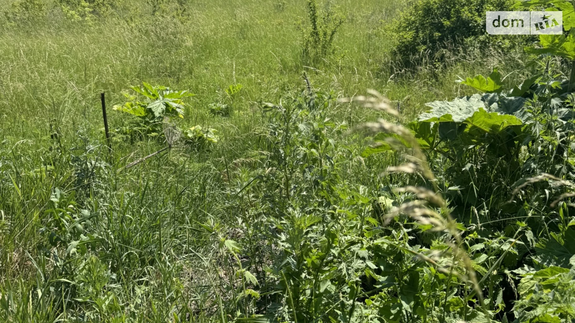 вул. Генерала Трейка Замостянський Вінниця, цена: 7500 $ - фото 5