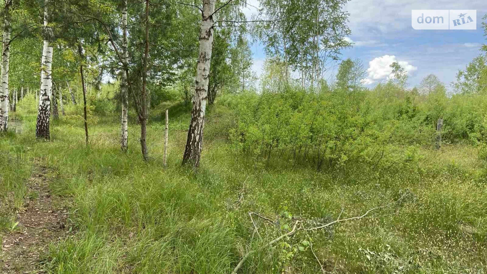 Продается земельный участок 36 соток в Житомирской области, цена: 14400 $ - фото 2