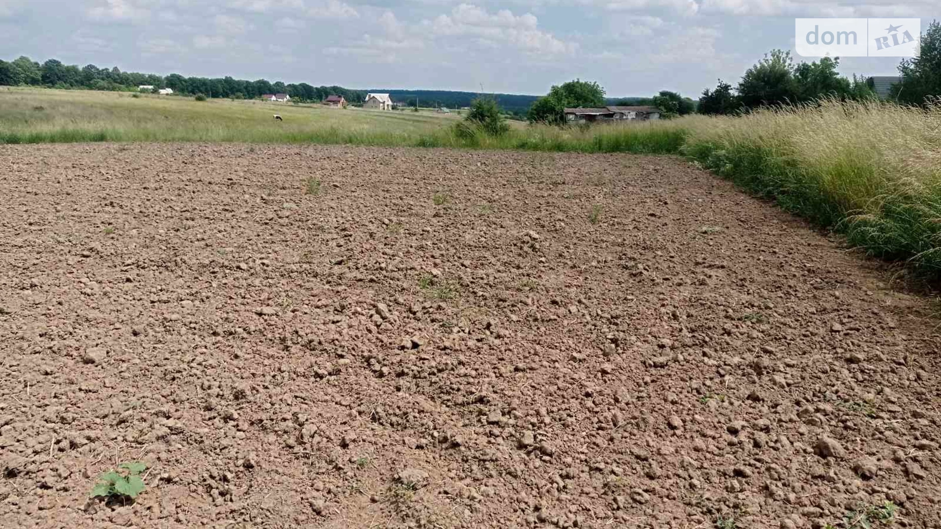 Продається земельна ділянка 15 соток у Вінницькій області, цена: 20000 $ - фото 5