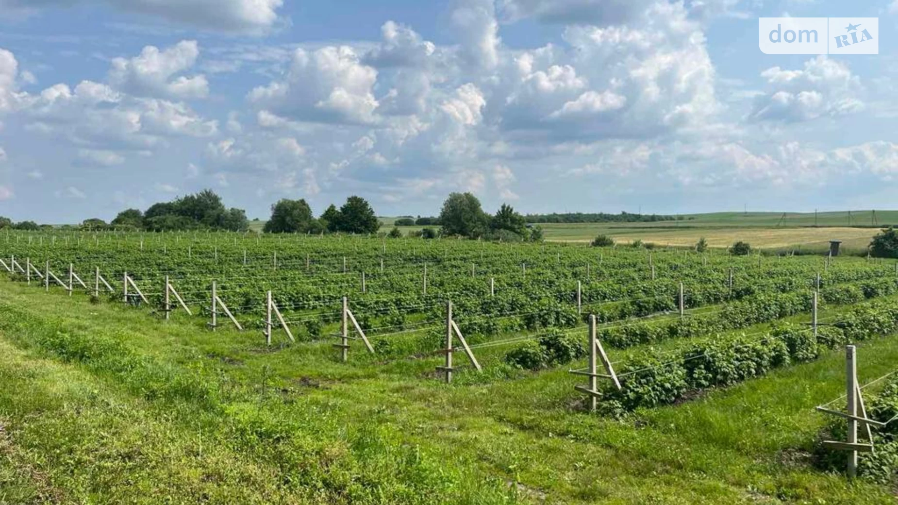 Продається об'єкт сфери послуг 800 кв. м в 1-поверховій будівлі, цена: 550000 $ - фото 3