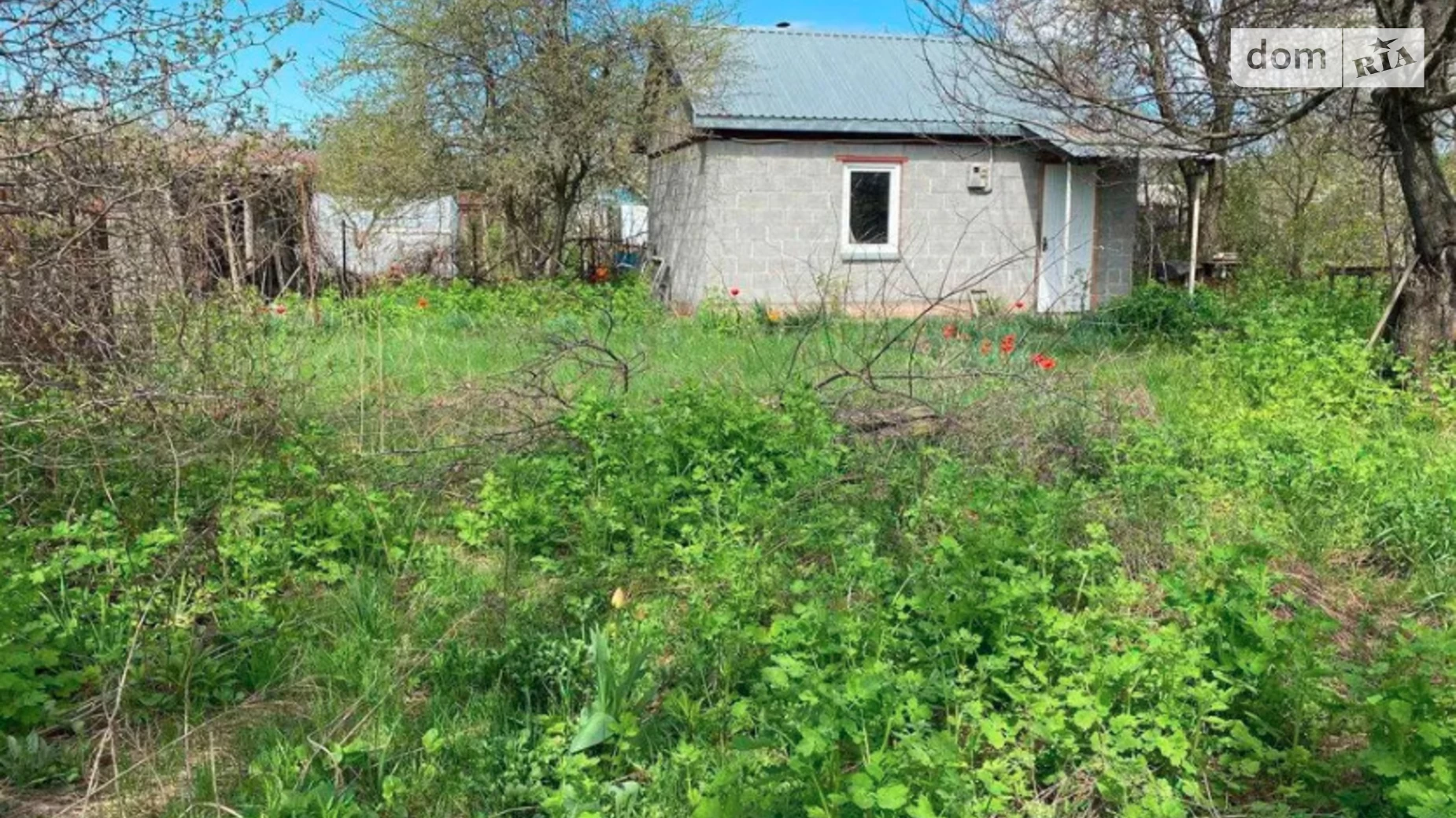 Продається одноповерховий будинок 16 кв. м з бесідкою, цена: 10000 $ - фото 4