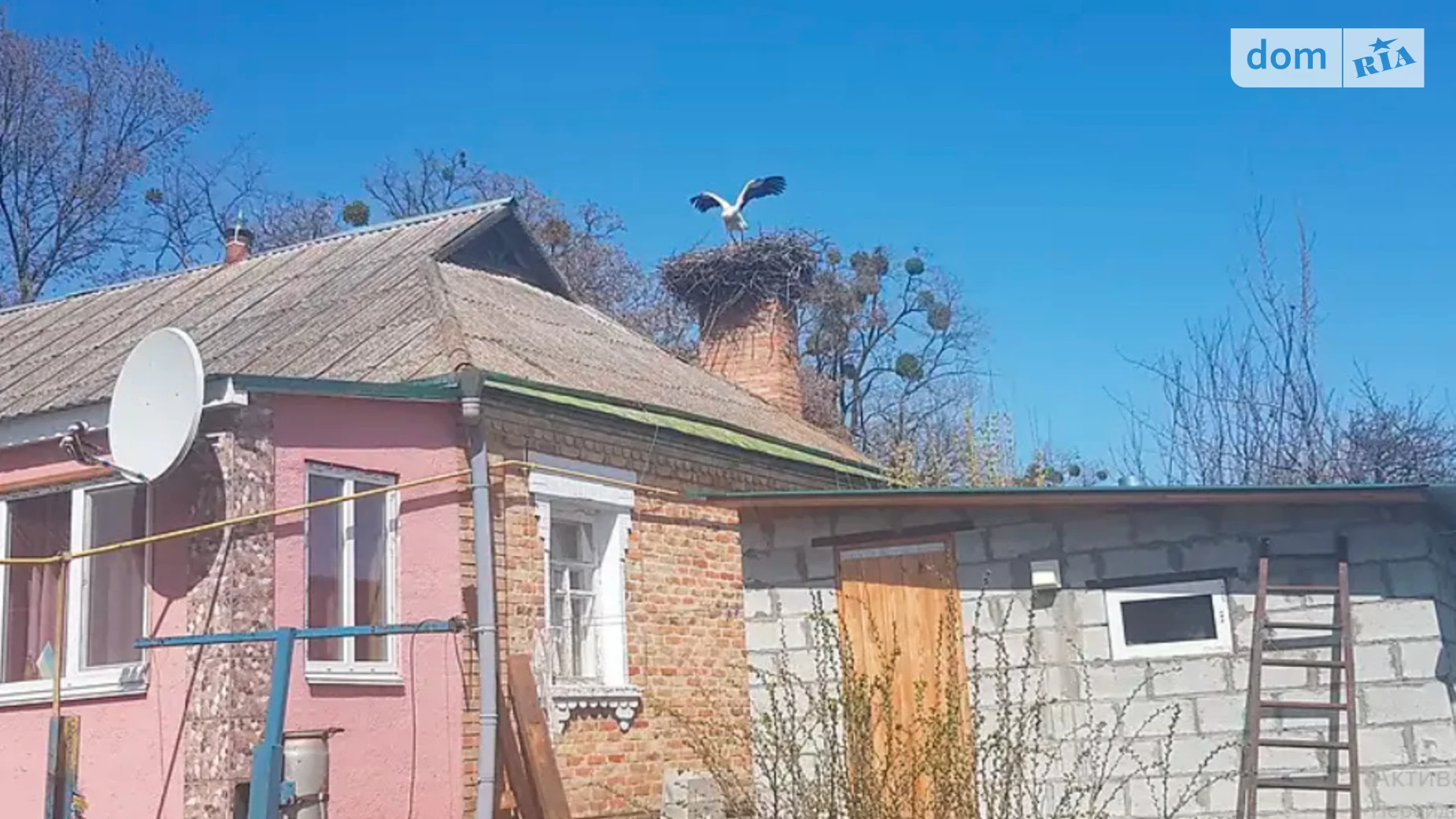 Продається одноповерховий будинок 100 кв. м с басейном, цена: 19999 $ - фото 5
