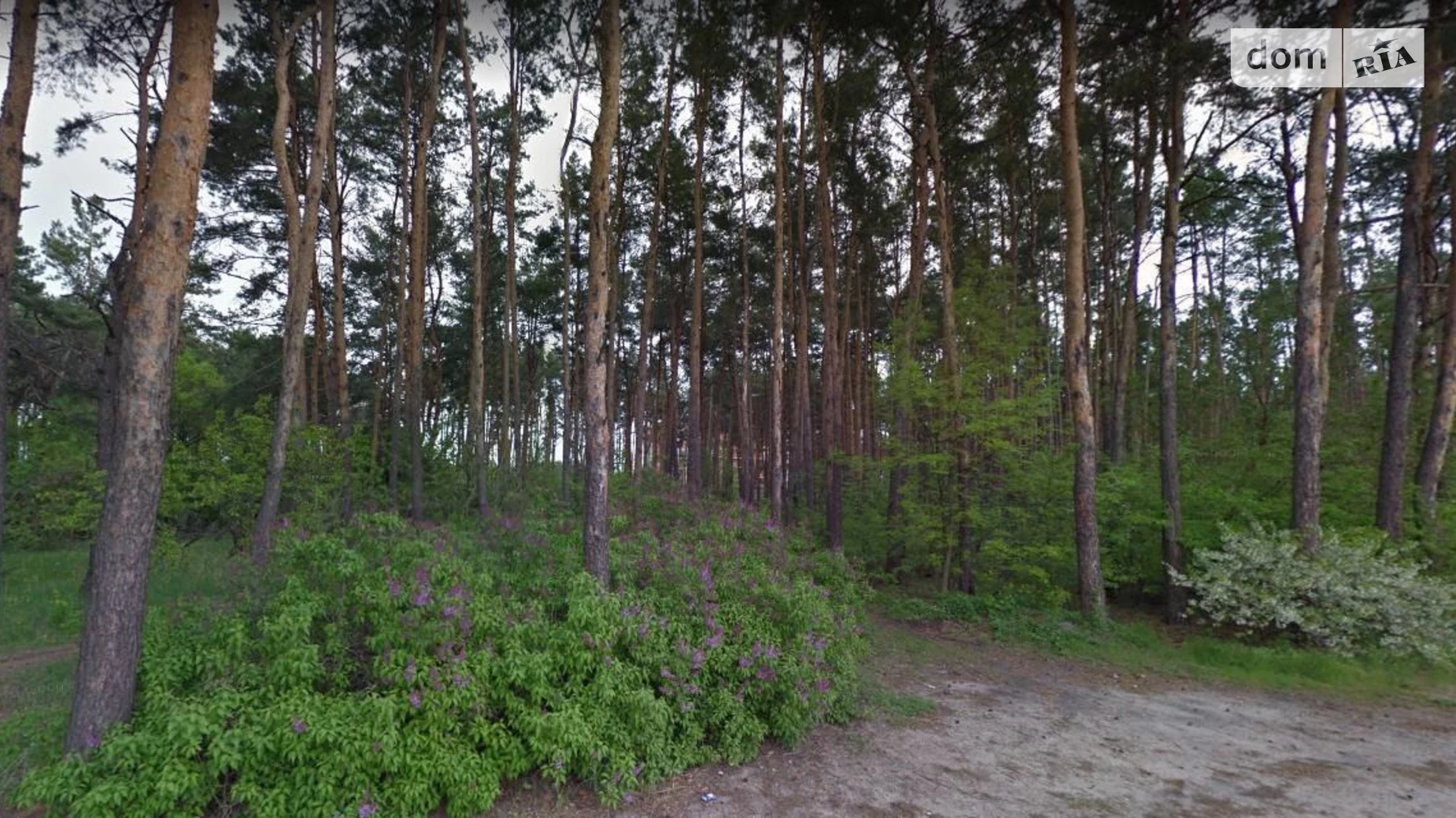 Продается земельный участок 10 соток в Киевской области, цена: 45000 $ - фото 3