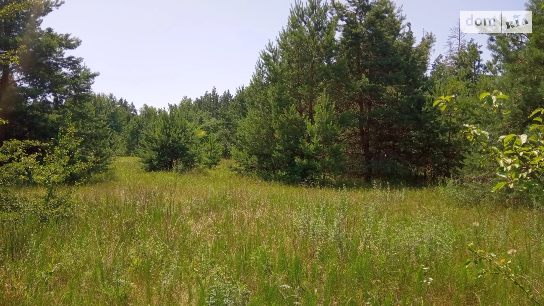 Продается одноэтажный дом 120 кв. м с террасой, цена: 52000 $ - фото 4