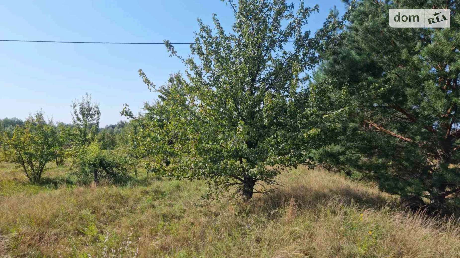 Продается земельный участок 55 соток в Киевской области, цена: 14000 $ - фото 3