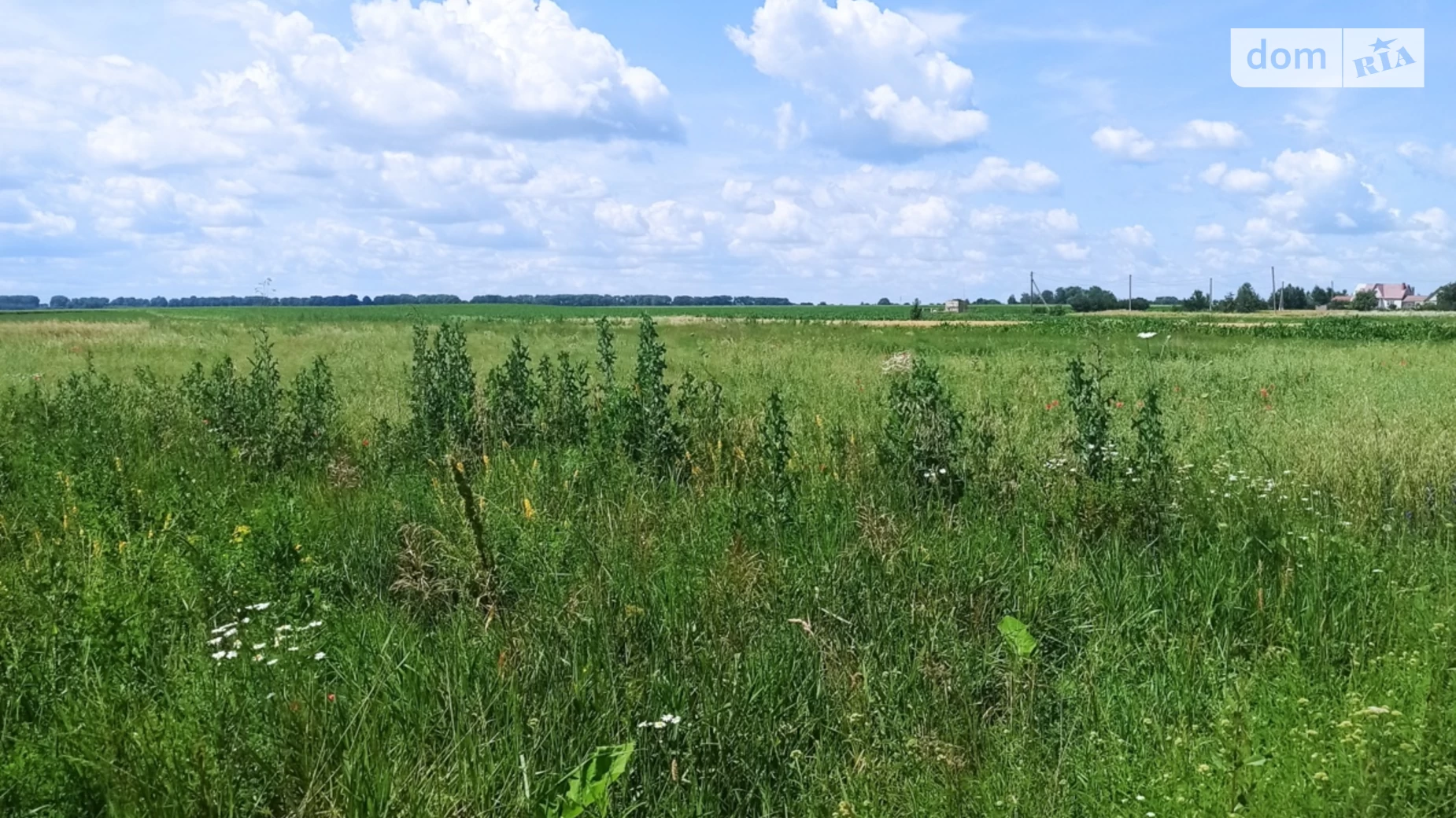 Продається земельна ділянка 15 соток у Вінницькій області, цена: 3500 $ - фото 4