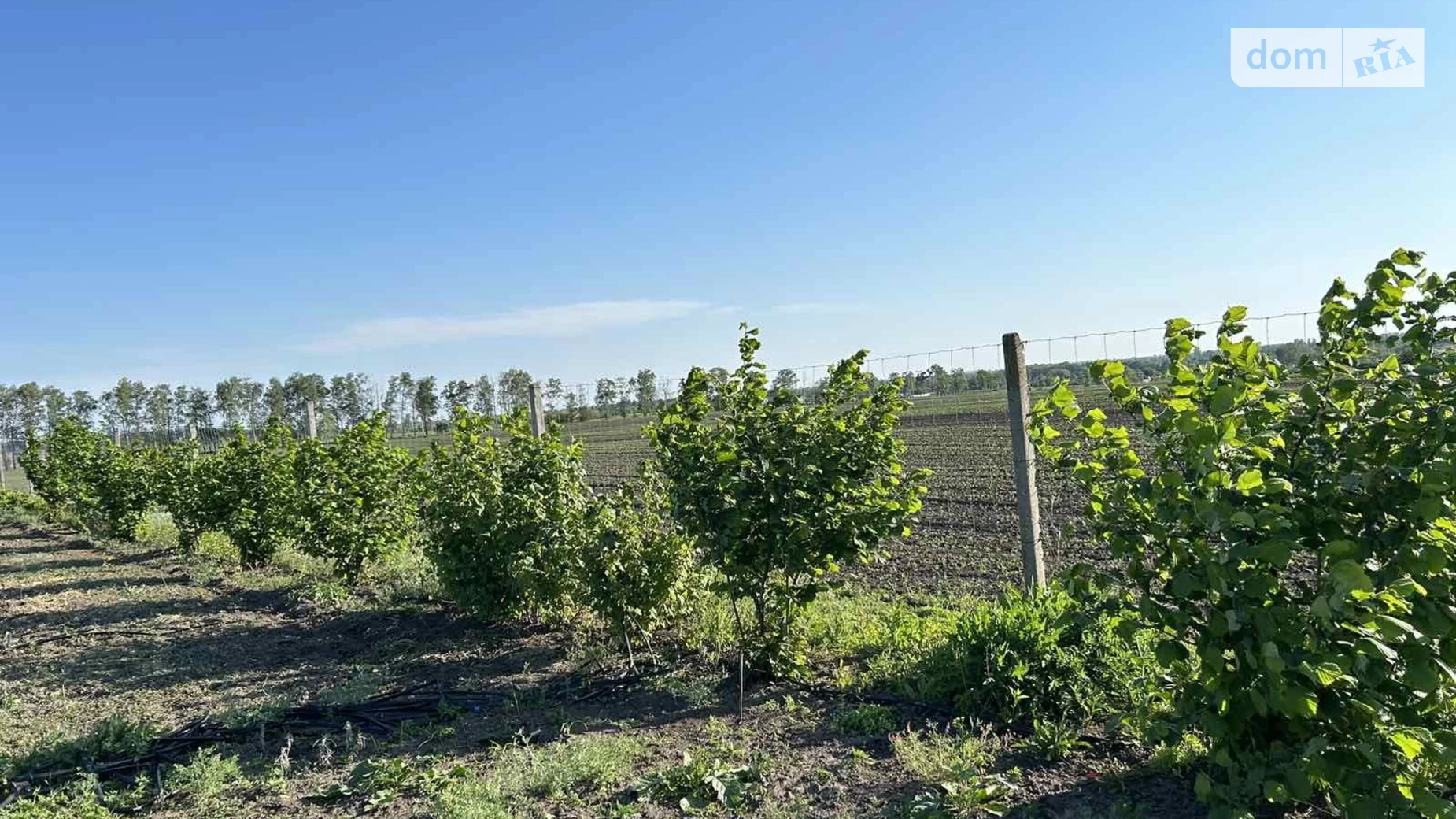 Продается земельный участок 200 соток в Винницкой области, цена: 25000 $ - фото 2