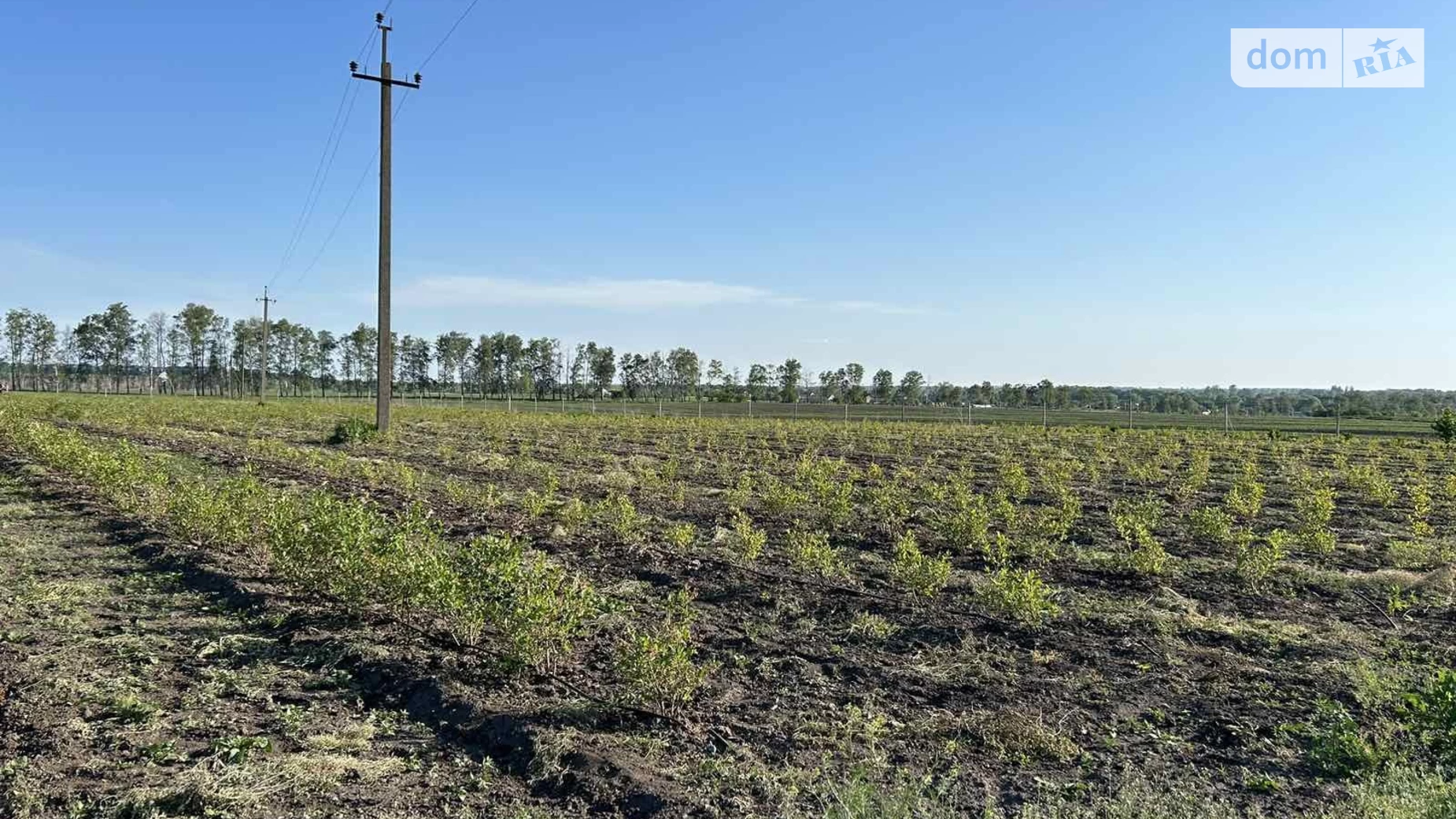 Продается земельный участок 200 соток в Винницкой области, цена: 25000 $ - фото 4