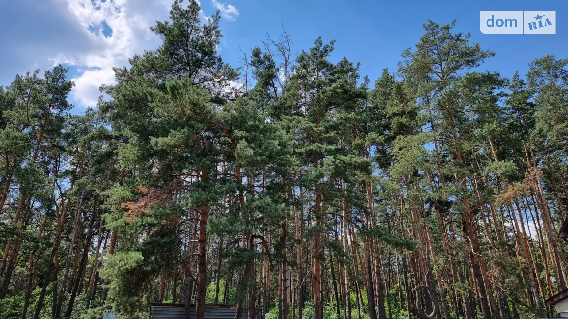 Продается дом на 2 этажа 375 кв. м с мансардой, цена: 148500 $ - фото 4
