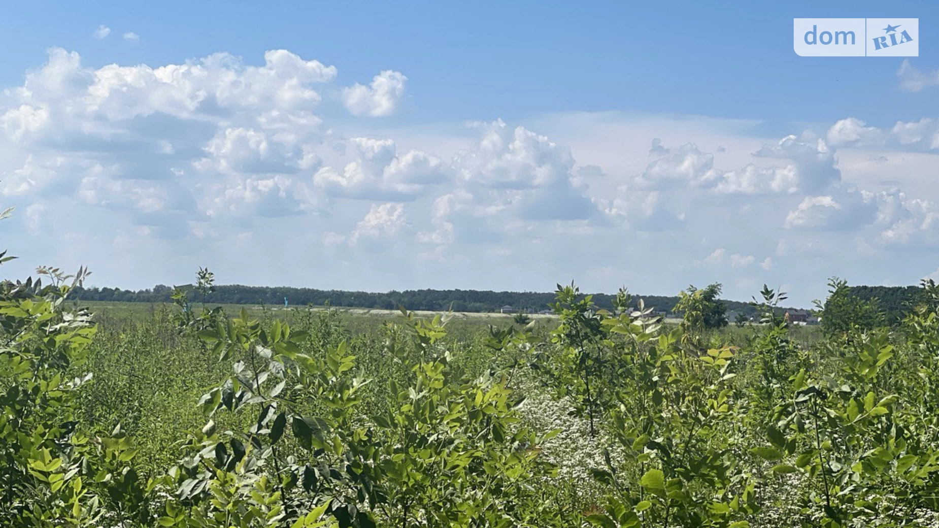 Продається земельна ділянка 6 соток у Вінницькій області, цена: 14000 $ - фото 5