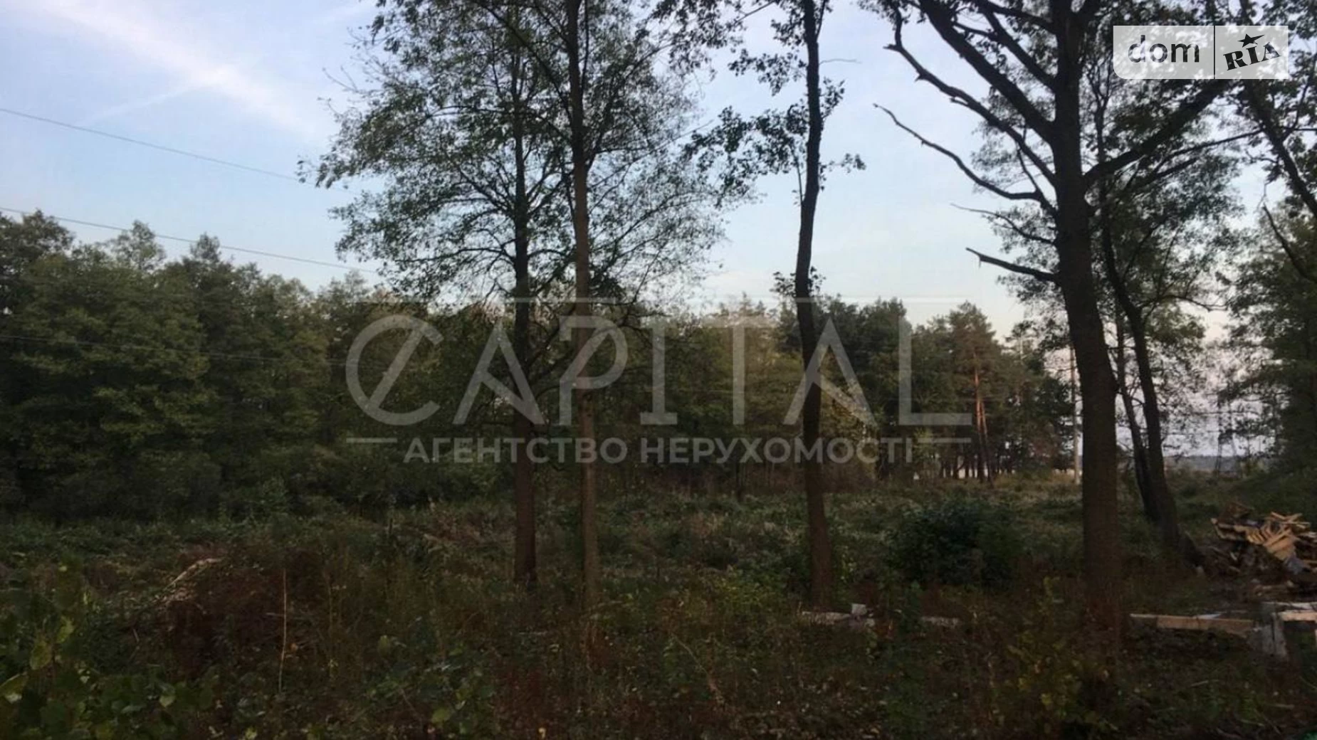 Ходосівка Ходосовка (Обуховский), цена: 82000 $ - фото 3