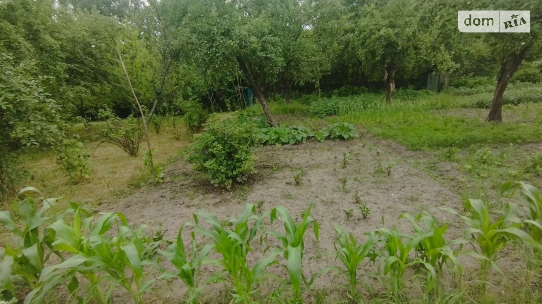Продается земельный участок 5.2 соток в Львовской области, цена: 12000 $ - фото 4