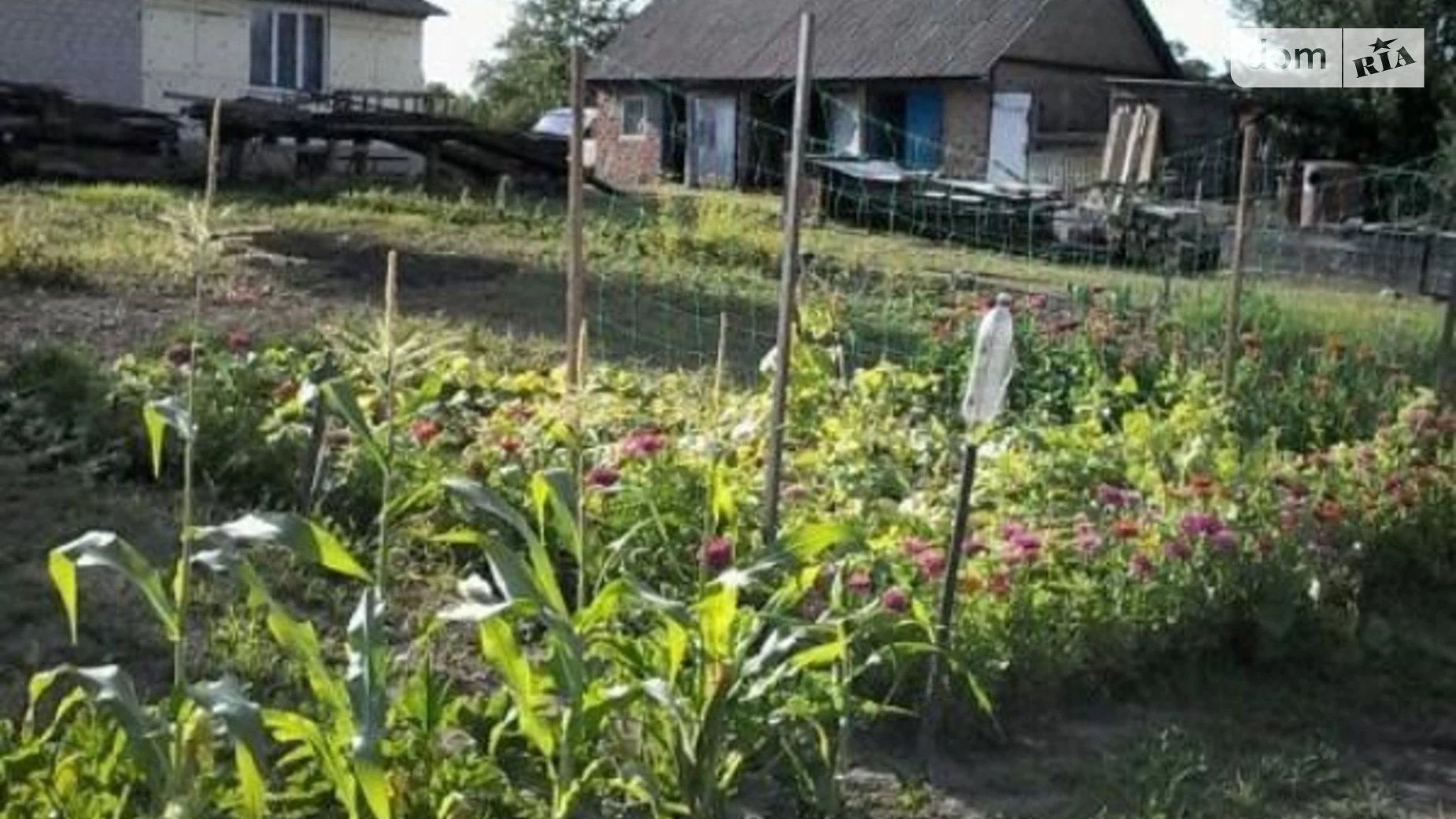 Продается одноэтажный дом 78 кв. м с мебелью, цена: 17000 $ - фото 3