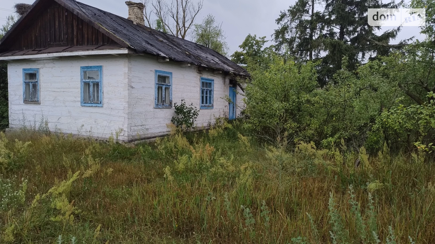 Продается земельный участок 15 соток в Ровенской области, цена: 5300 $ - фото 2
