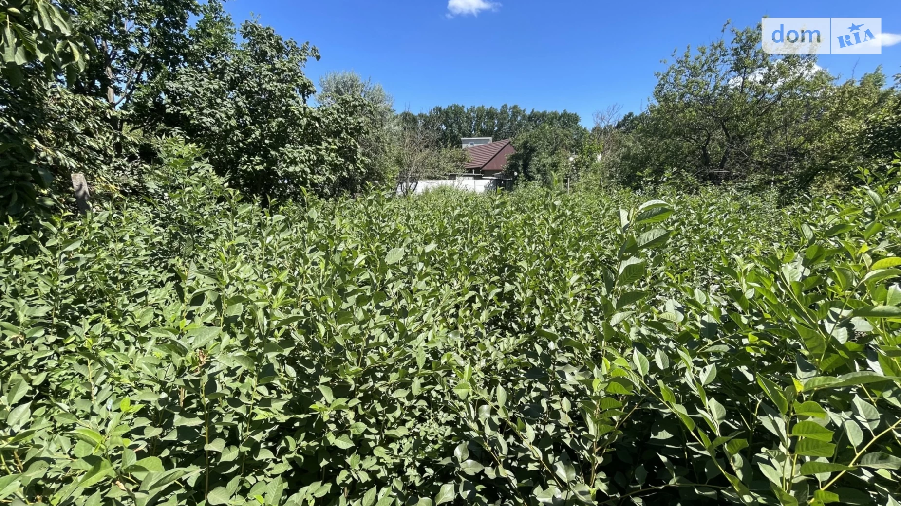 Продається земельна ділянка 6 соток у Одеській області, цена: 5000 $ - фото 2